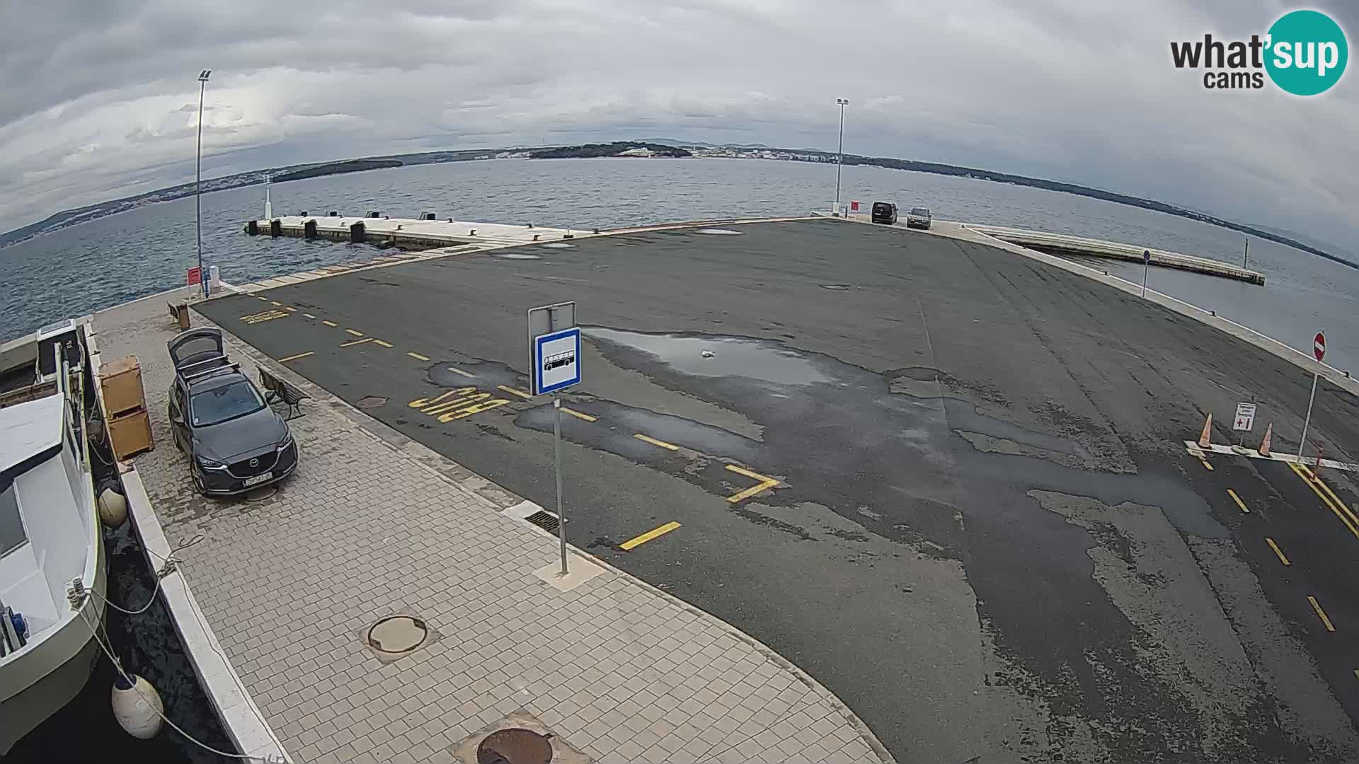 Tkon camera en vivo – Transportar – Dalmacia – Croacia