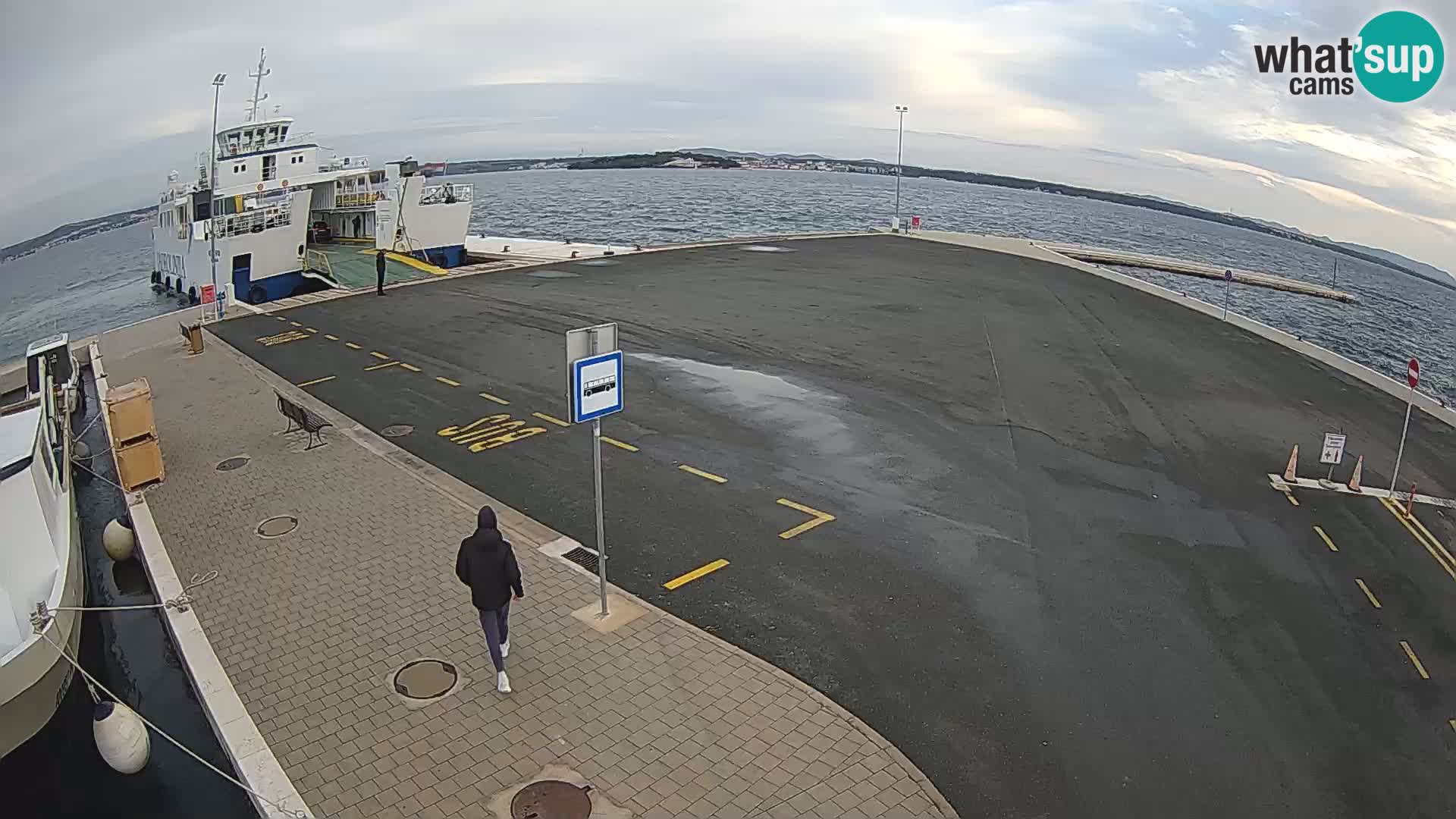 Tkon camera en vivo – Transportar – Dalmacia – Croacia