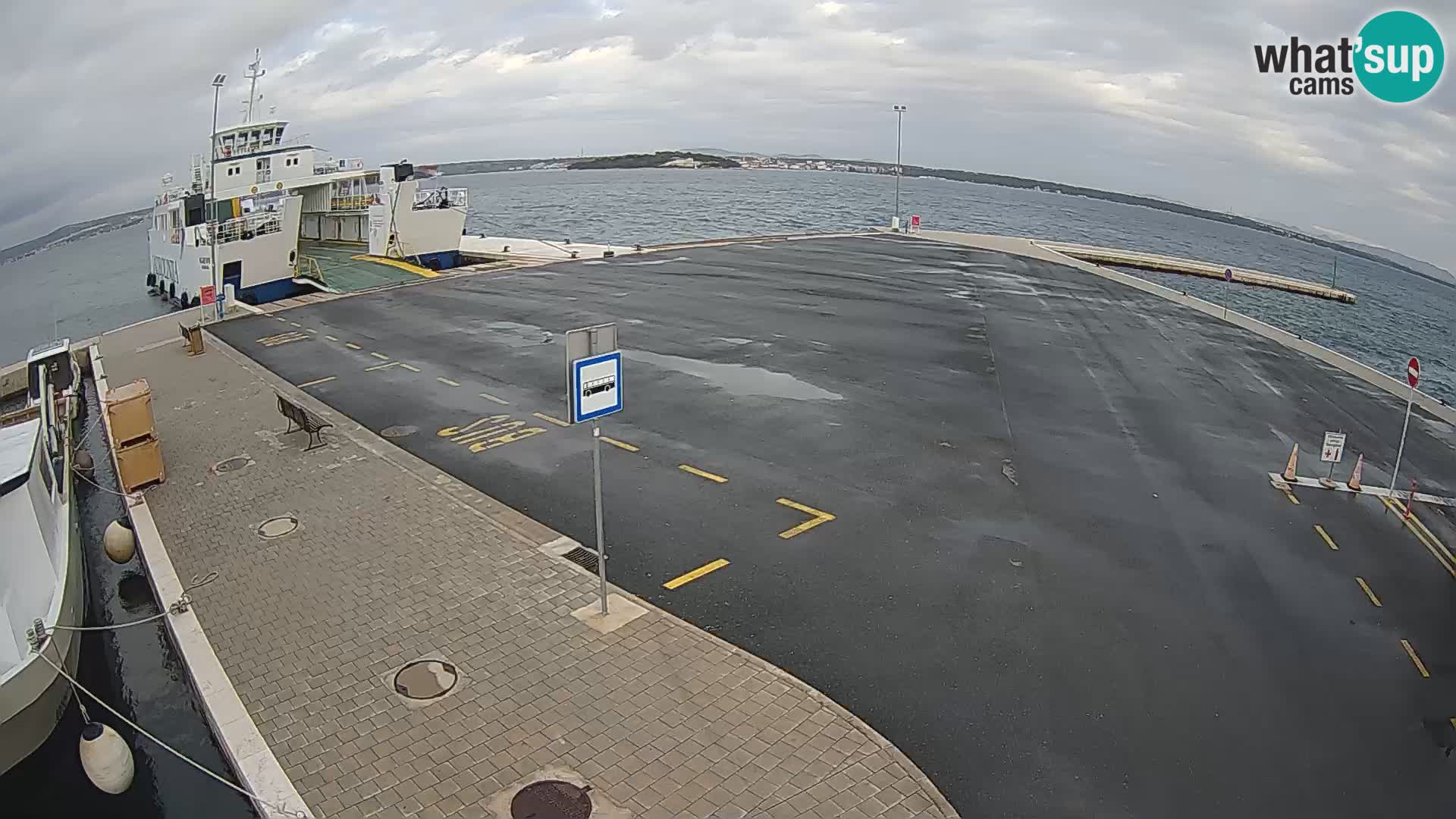 Tkon v živo – trajekt – Dalmacija – Hrvaška