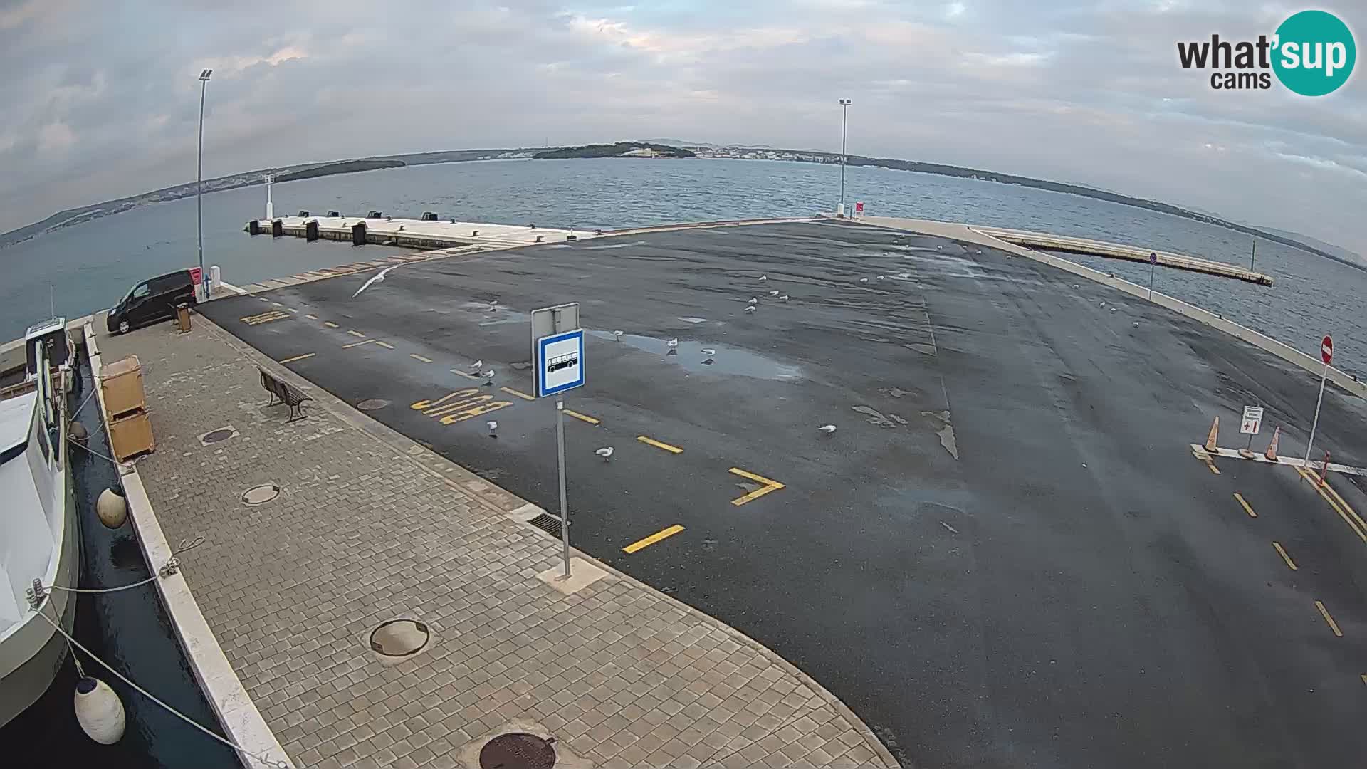 Tkon camera en vivo – Transportar – Dalmacia – Croacia