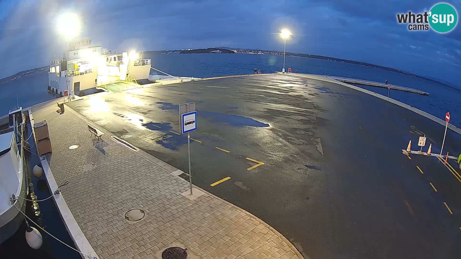 Tkon v živo – trajekt – Dalmacija – Hrvaška