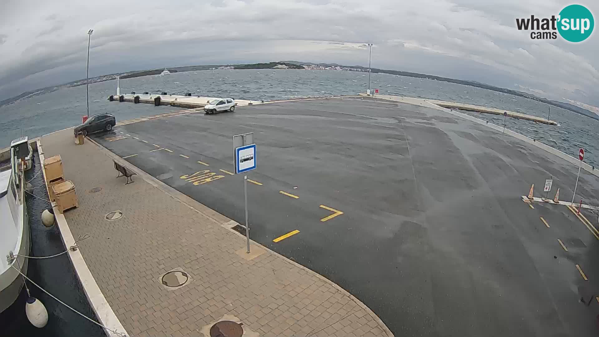 Tkon v živo – trajekt – Dalmacija – Hrvaška