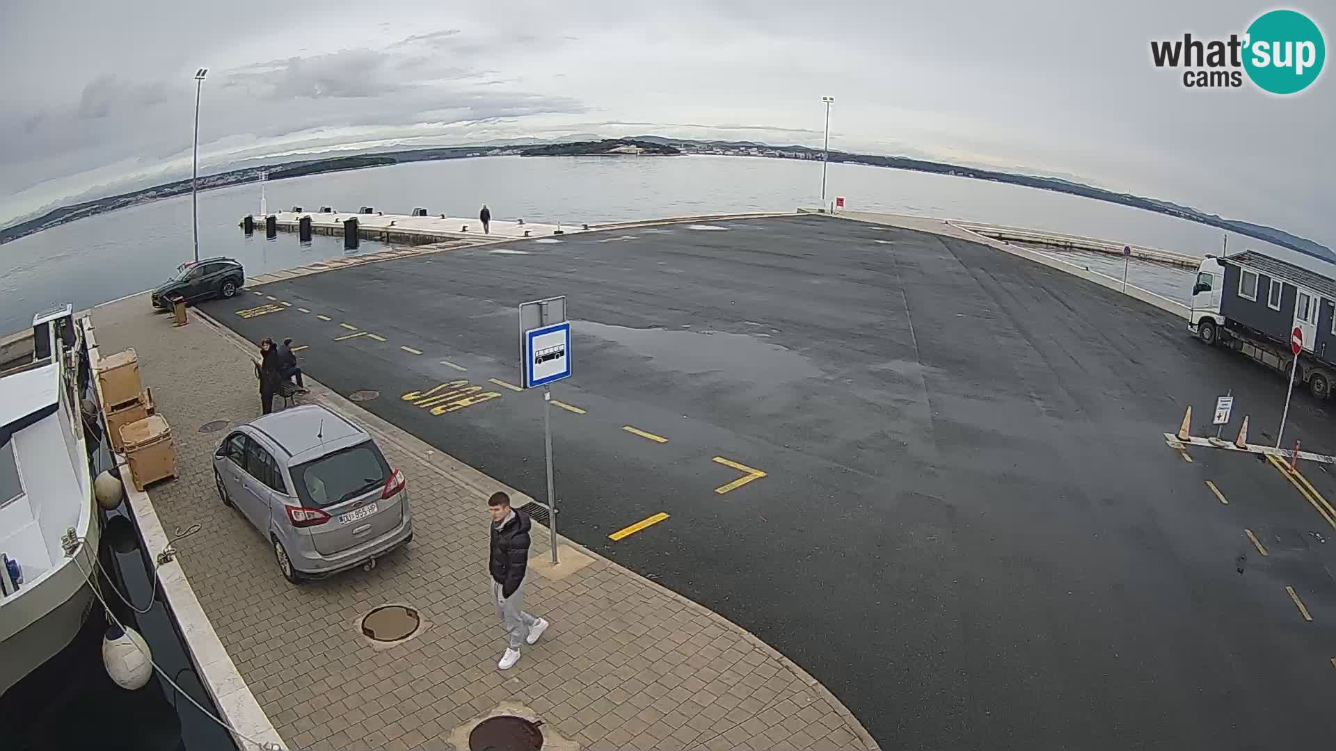 Tkon u živo – trajekt – Dalmacija