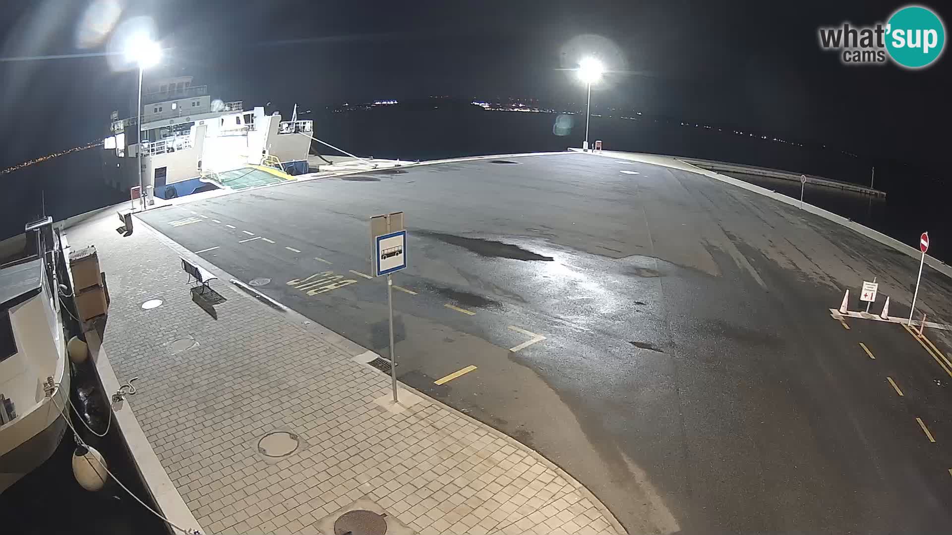 Tkon v živo – trajekt – Dalmacija – Hrvaška