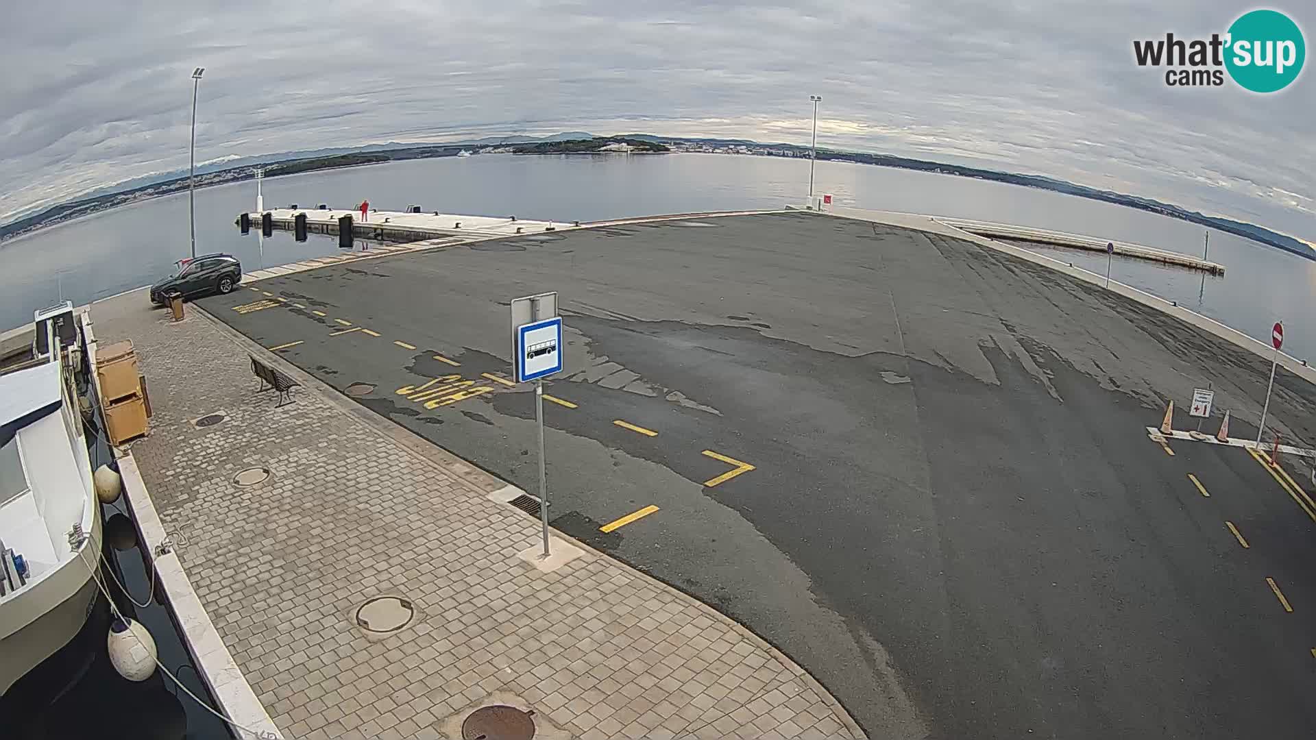 Tkon u živo – trajekt – Dalmacija