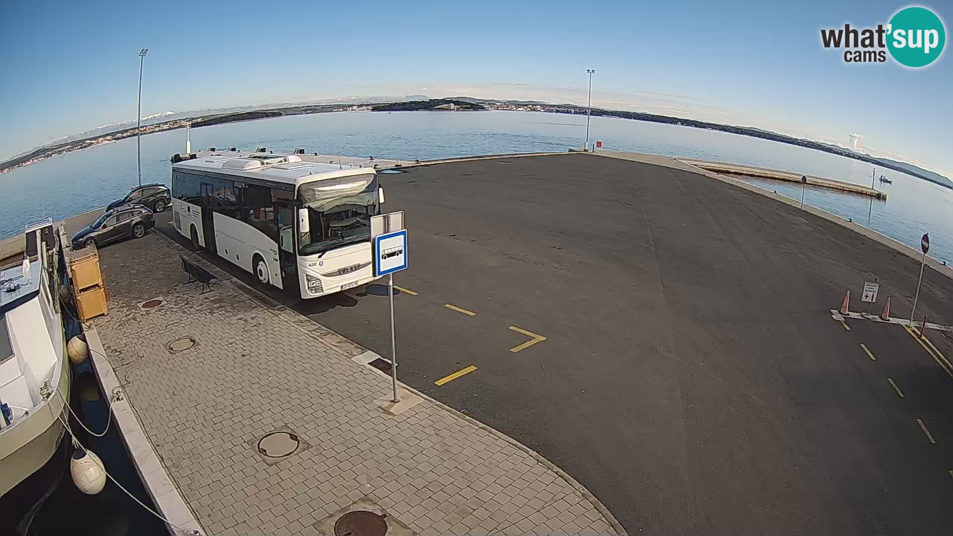 Tkon v živo – trajekt – Dalmacija – Hrvaška