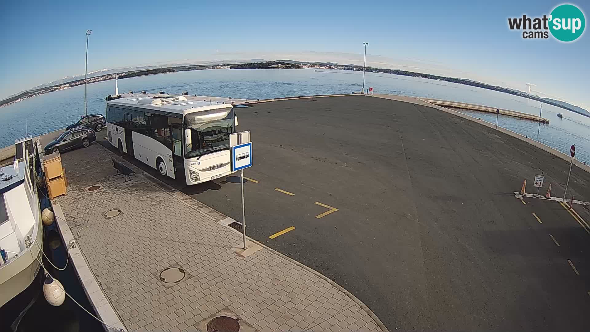 Tkon v živo – trajekt – Dalmacija – Hrvaška