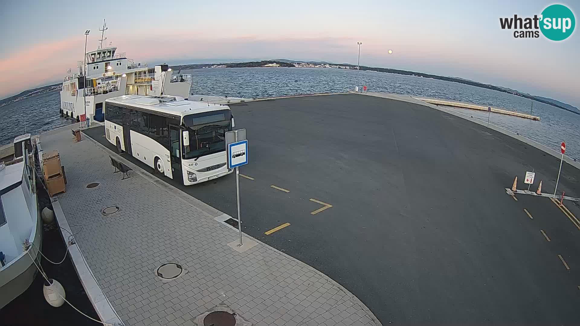 Tkon v živo – trajekt – Dalmacija – Hrvaška