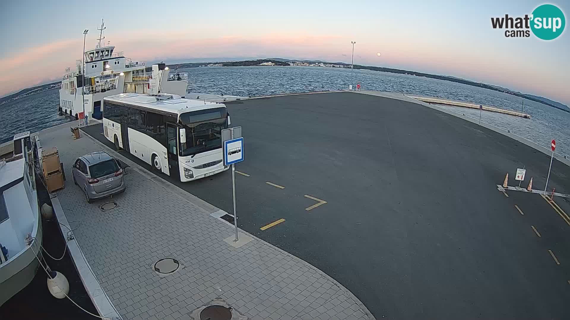 Tkon u živo – trajekt – Dalmacija