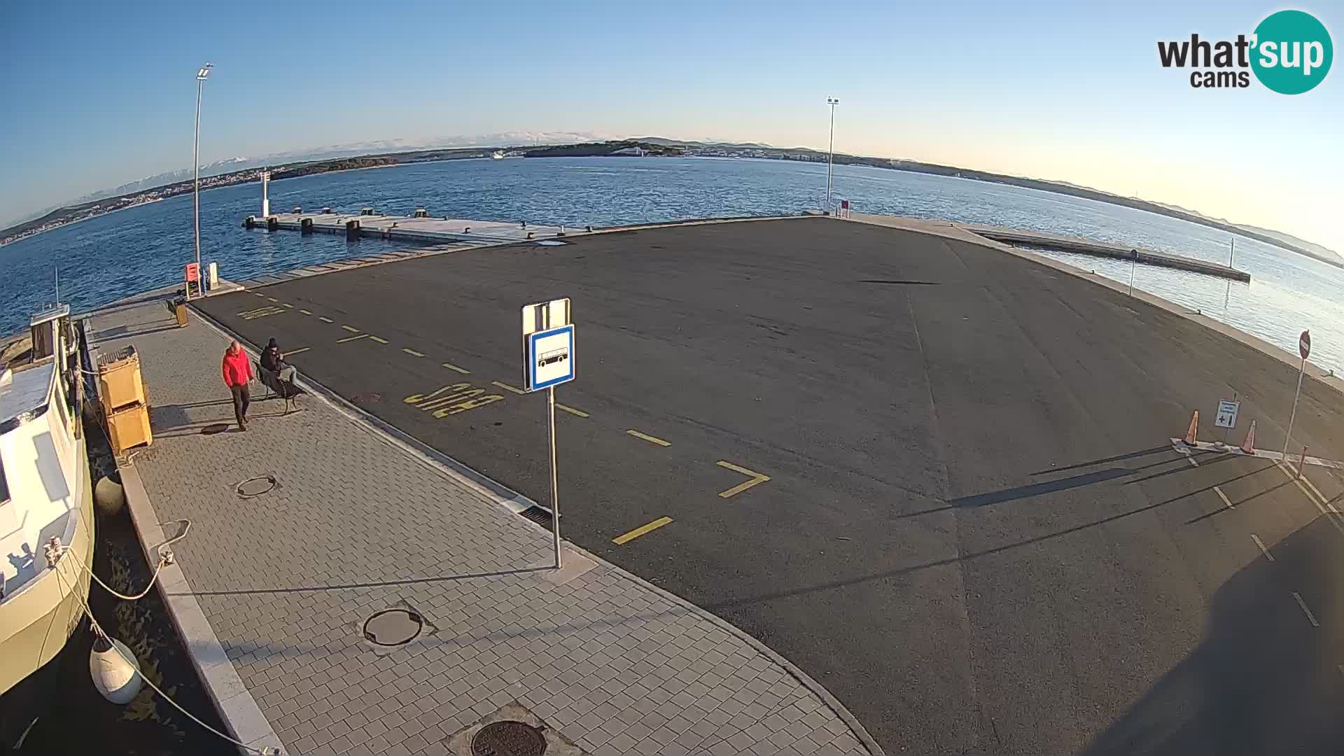 Tkon camera en vivo – Transportar – Dalmacia – Croacia