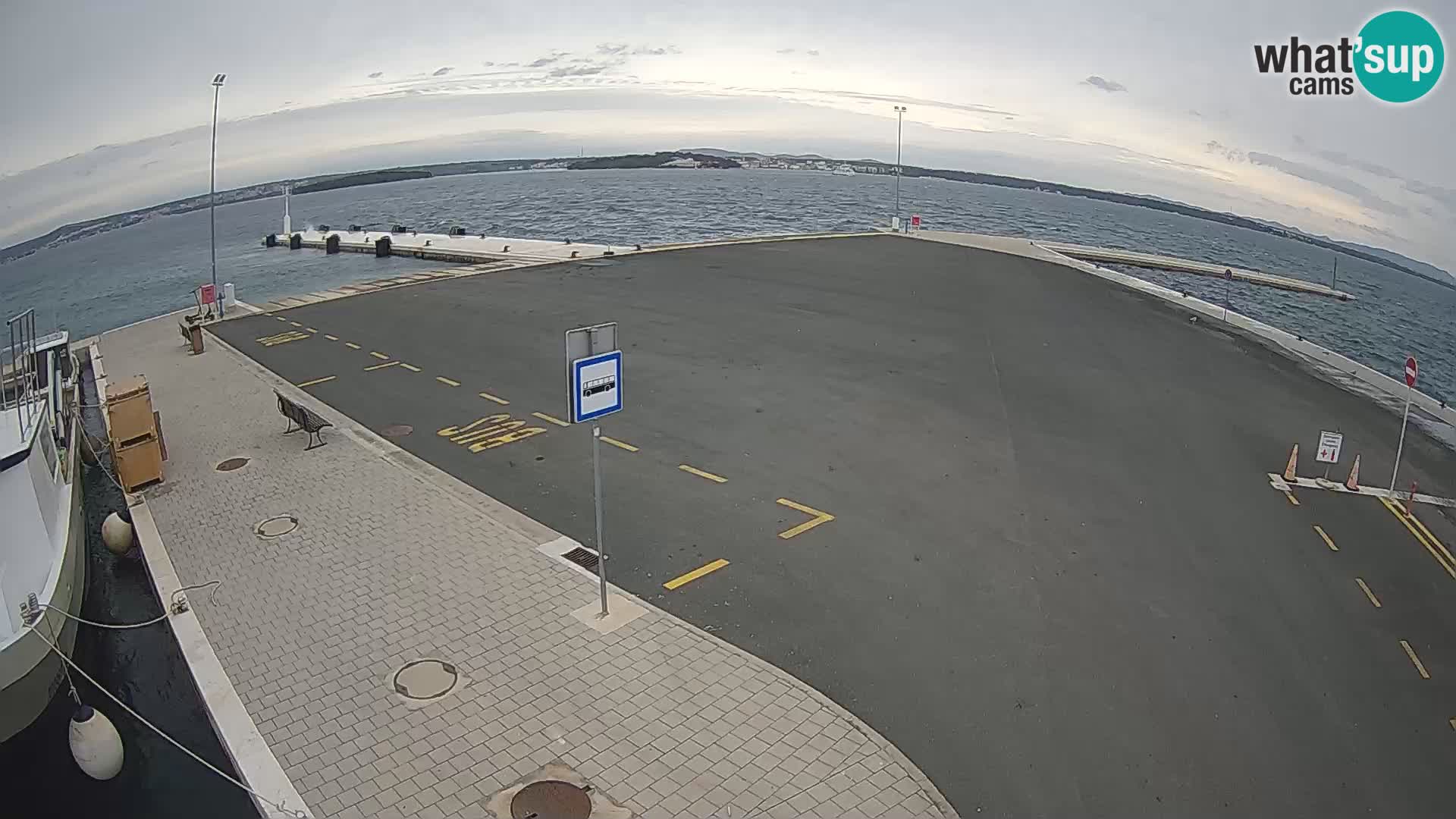 Tkon v živo – trajekt – Dalmacija – Hrvaška