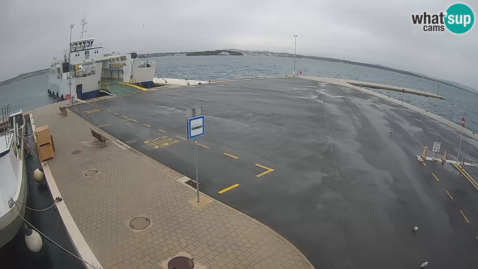 Tkon Live cam – ferry – Dalmatie – Croatie