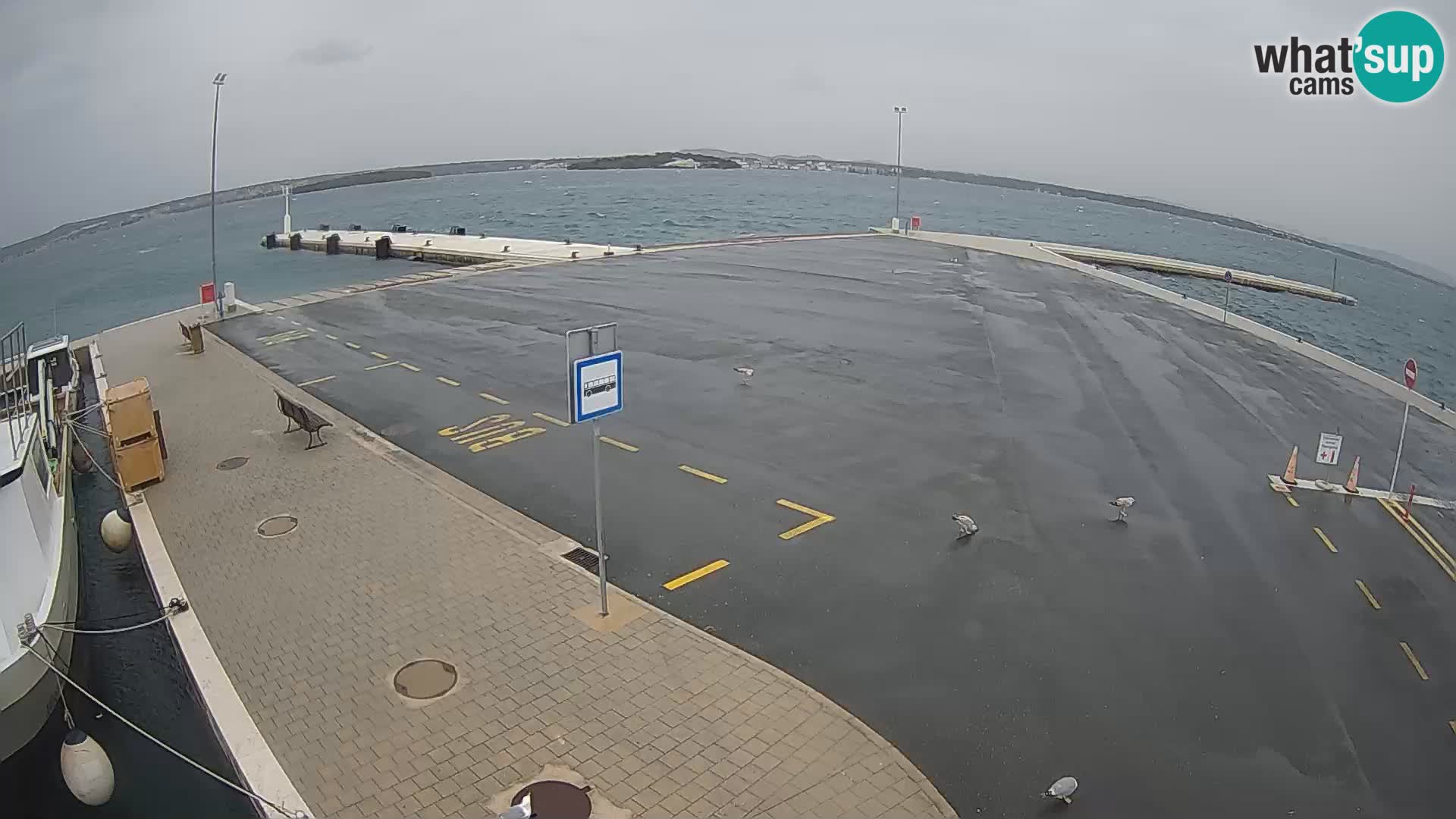 Tkon u živo – trajekt – Dalmacija