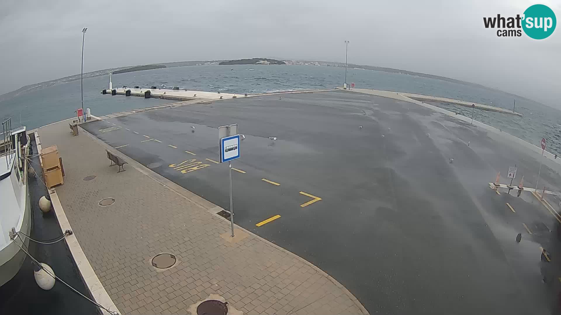 Tkon v živo – trajekt – Dalmacija – Hrvaška