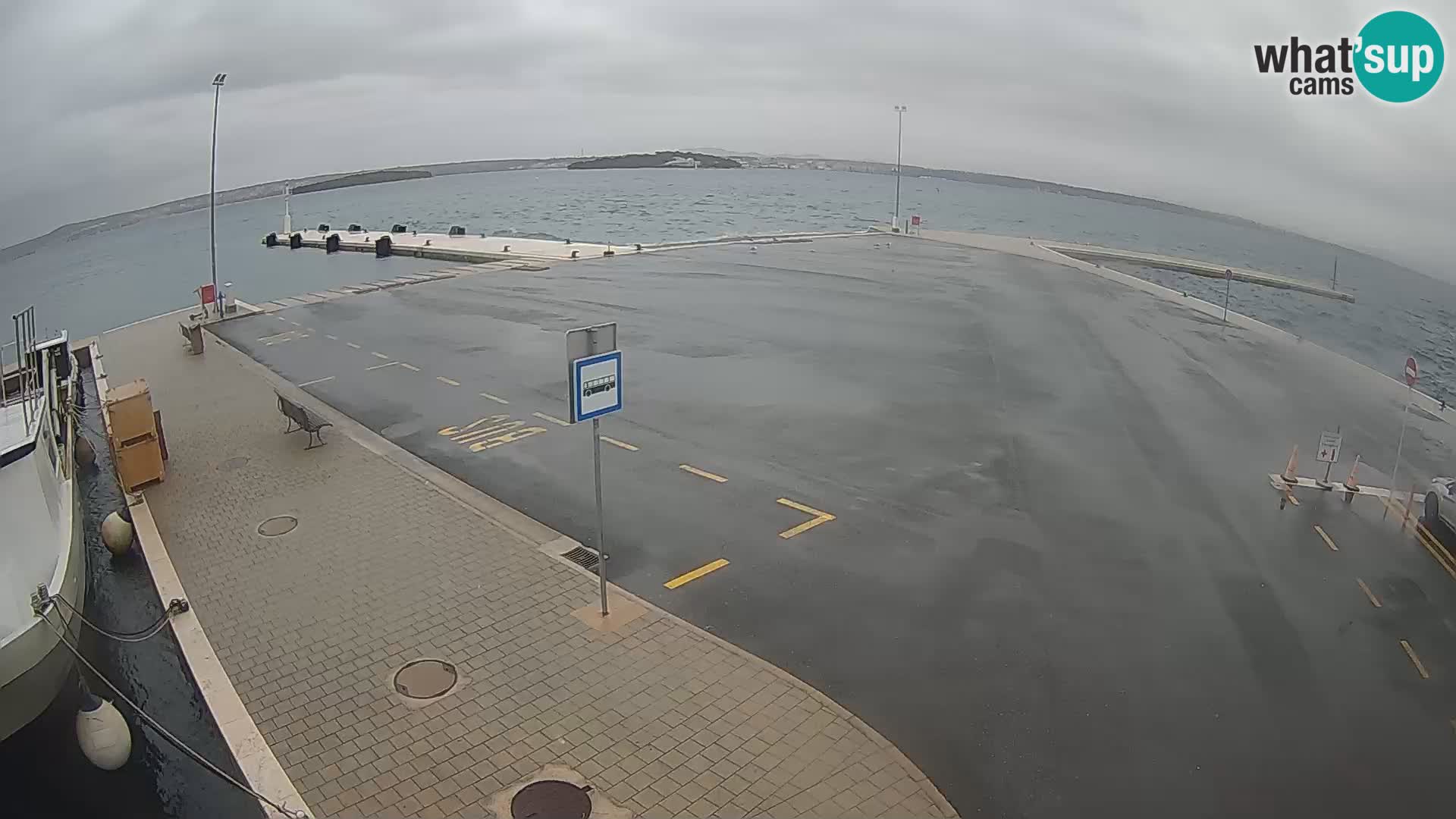 Tkon v živo – trajekt – Dalmacija – Hrvaška