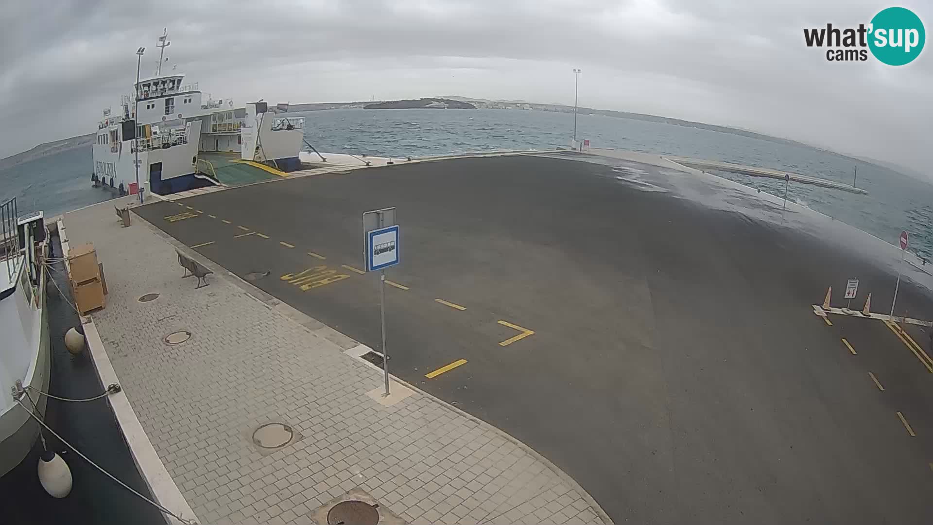 Tkon u živo – trajekt – Dalmacija