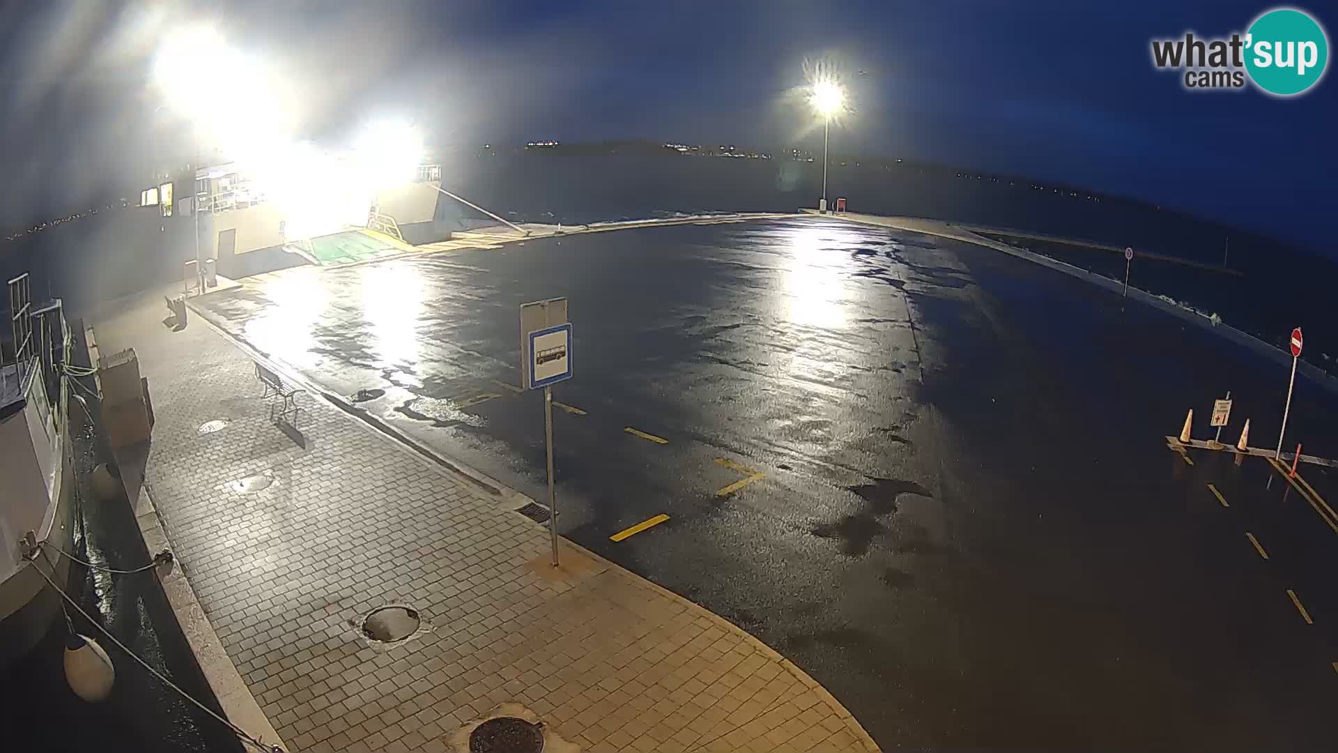 Tkon v živo – trajekt – Dalmacija – Hrvaška