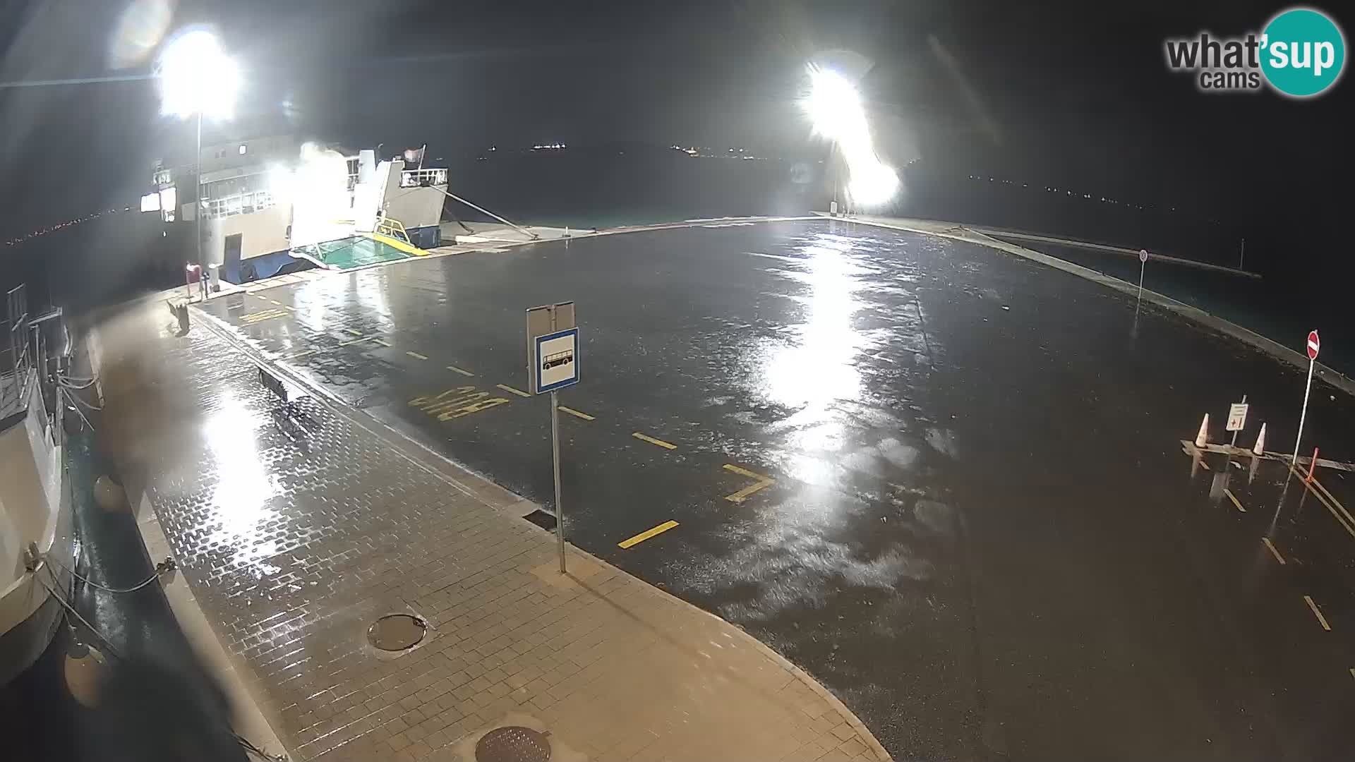 Tkon v živo – trajekt – Dalmacija – Hrvaška