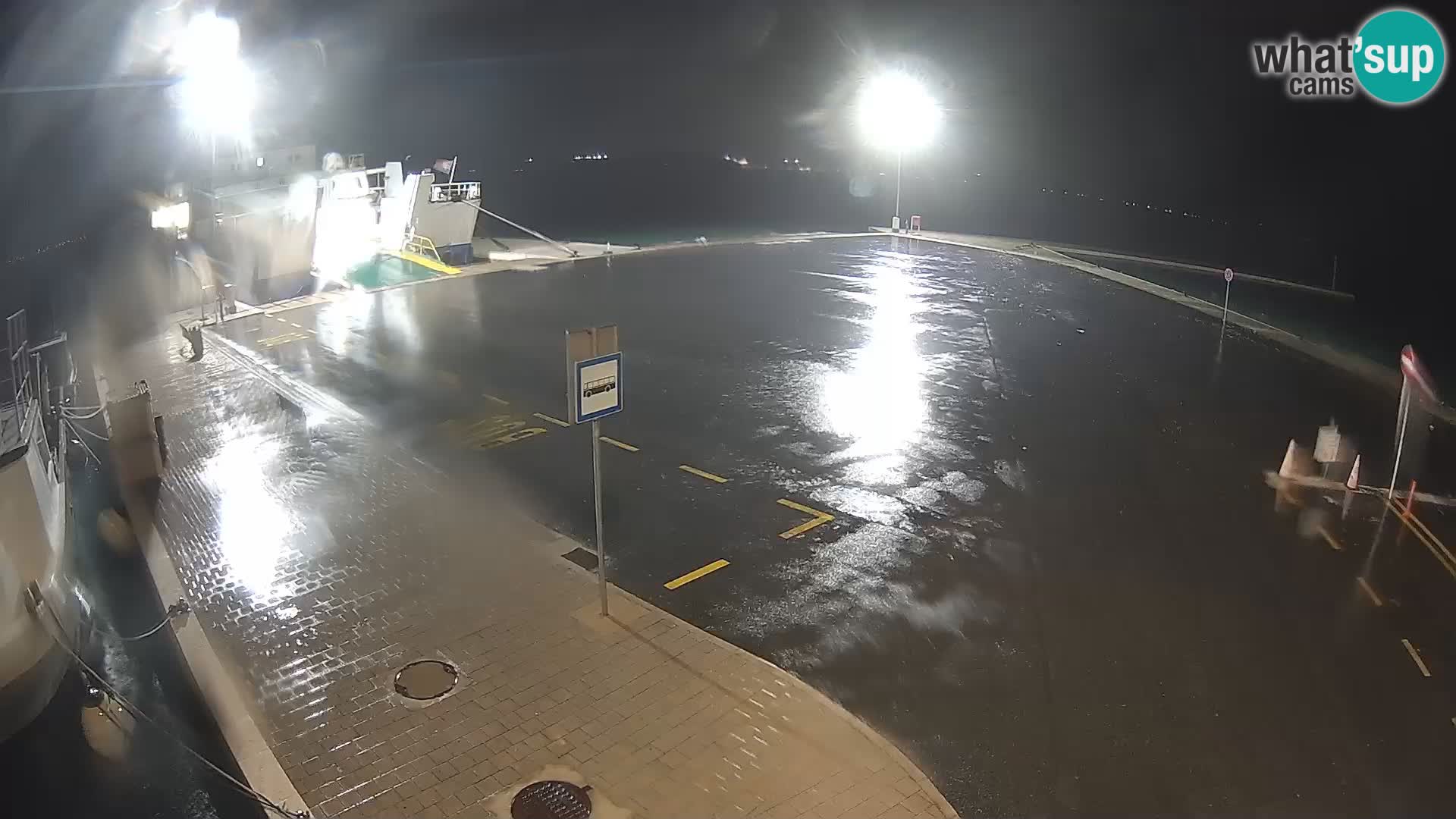 Tkon v živo – trajekt – Dalmacija – Hrvaška