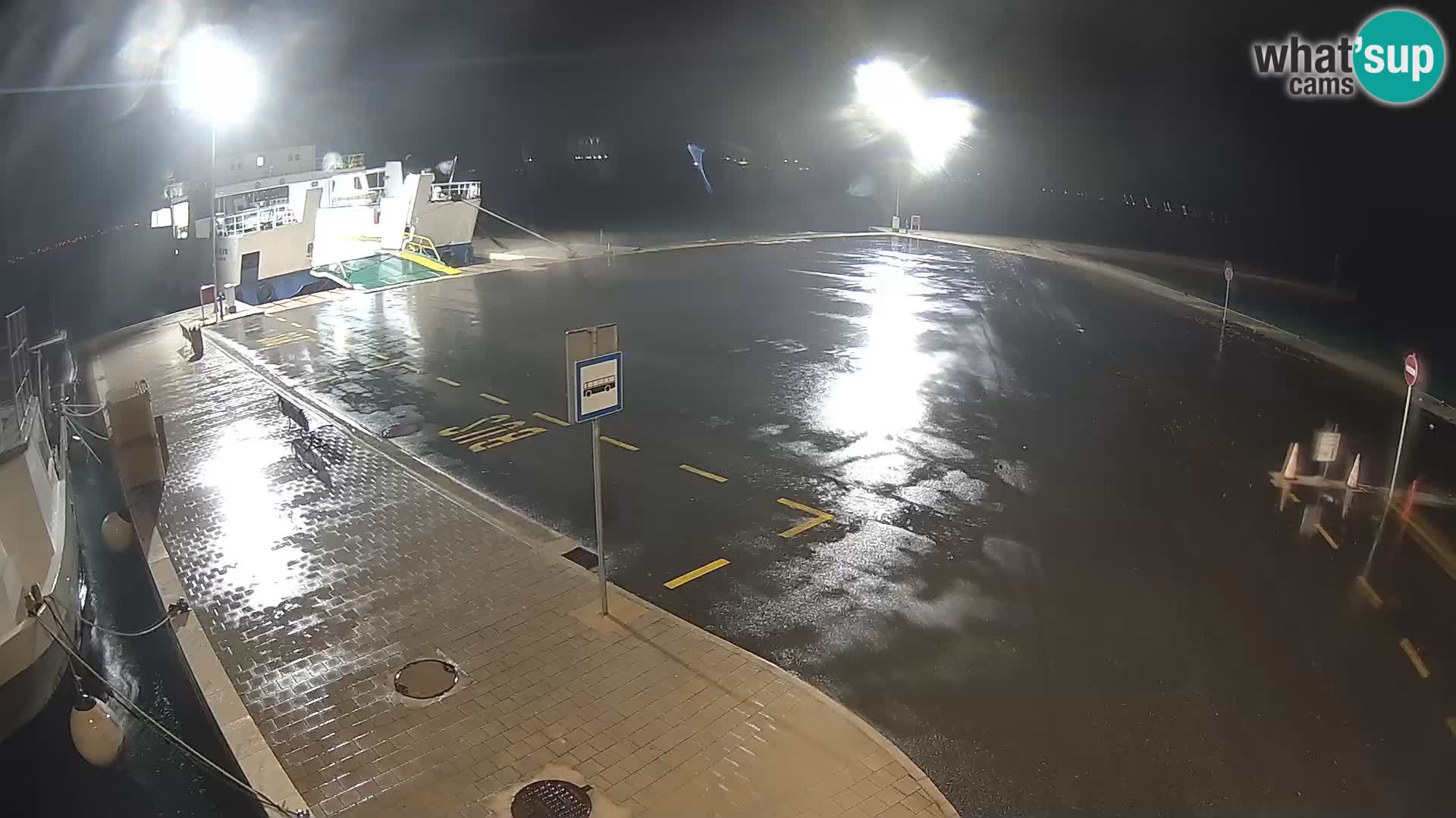 Tkon v živo – trajekt – Dalmacija – Hrvaška