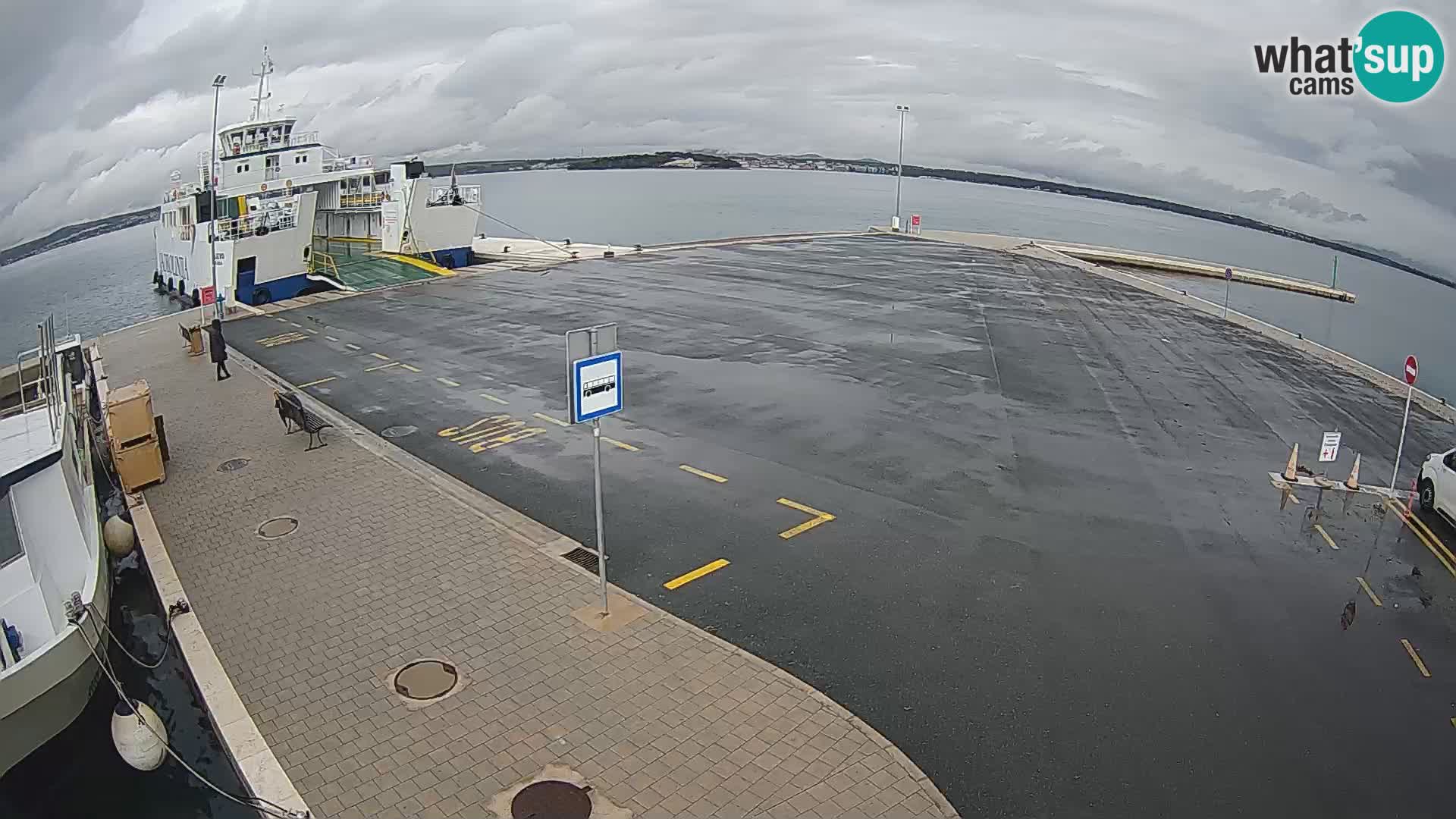 Tkon camera en vivo – Transportar – Dalmacia – Croacia