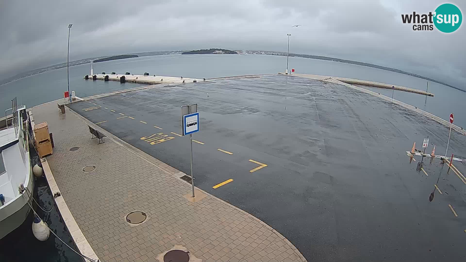 Tkon u živo – trajekt – Dalmacija