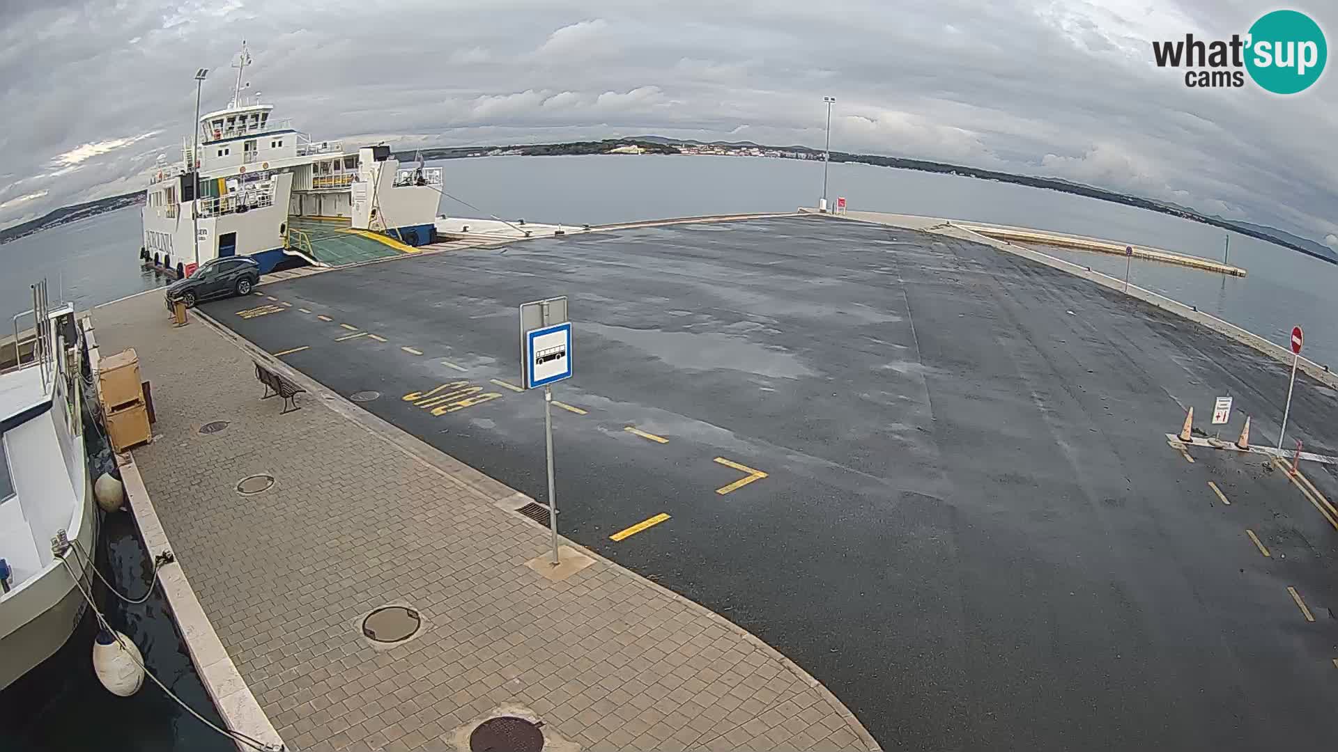 Tkon camera en vivo – Transportar – Dalmacia – Croacia