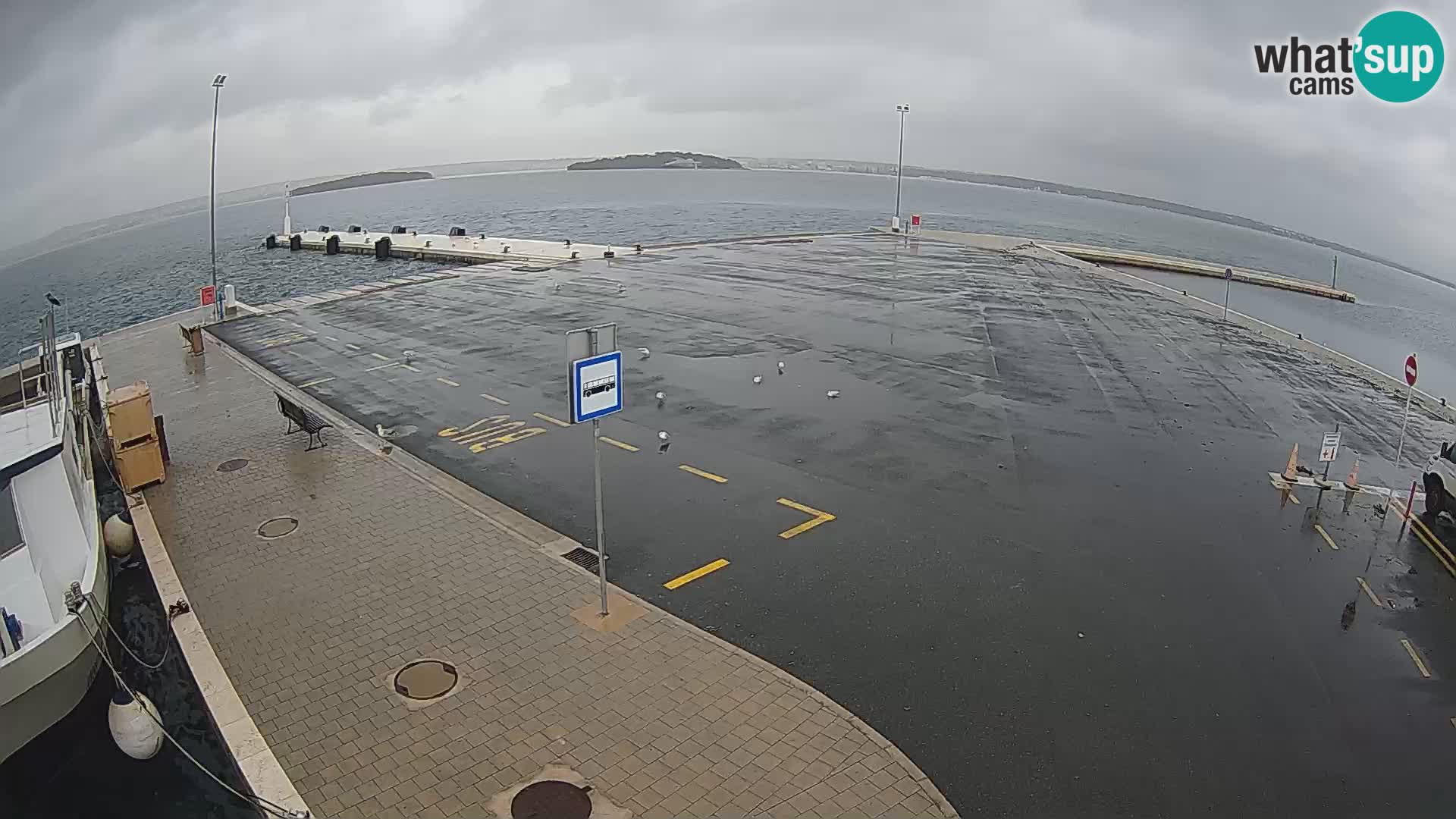 Tkon Live cam – Fähre – Dalmatien – Kroatien