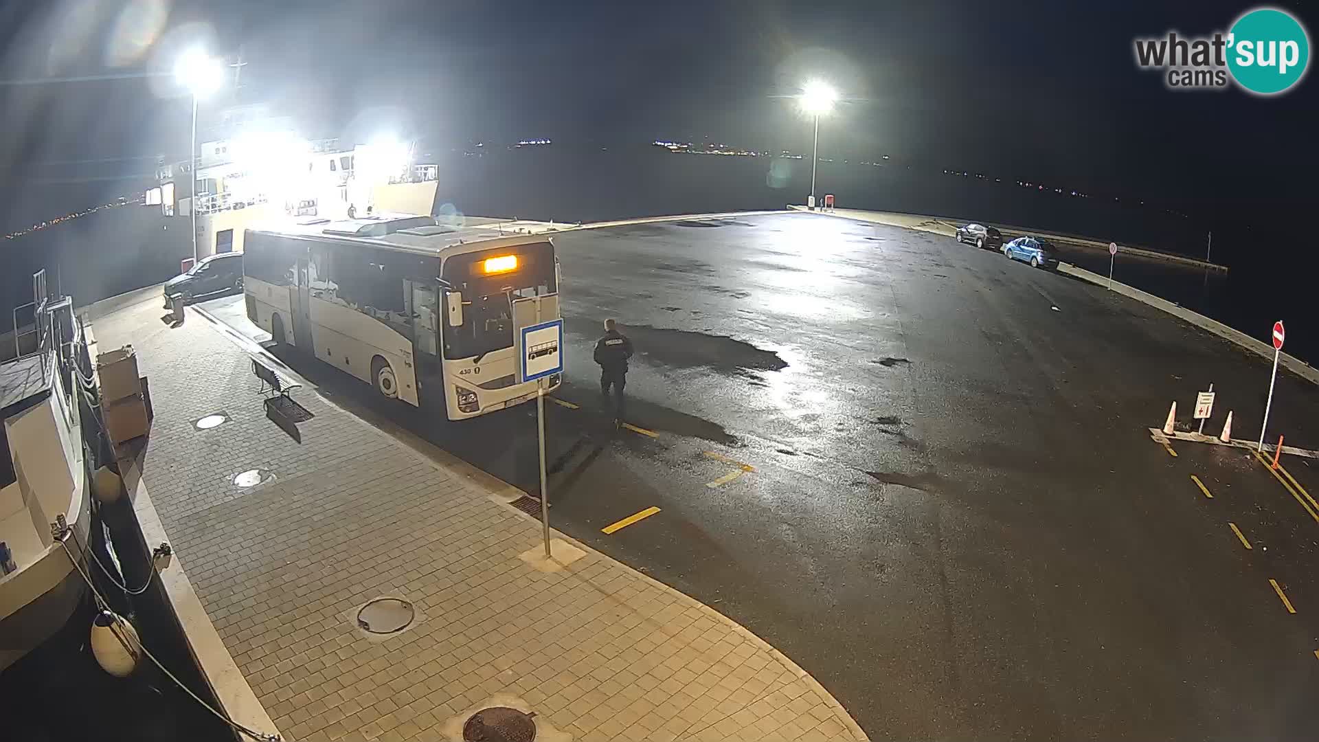 Tkon v živo – trajekt – Dalmacija – Hrvaška