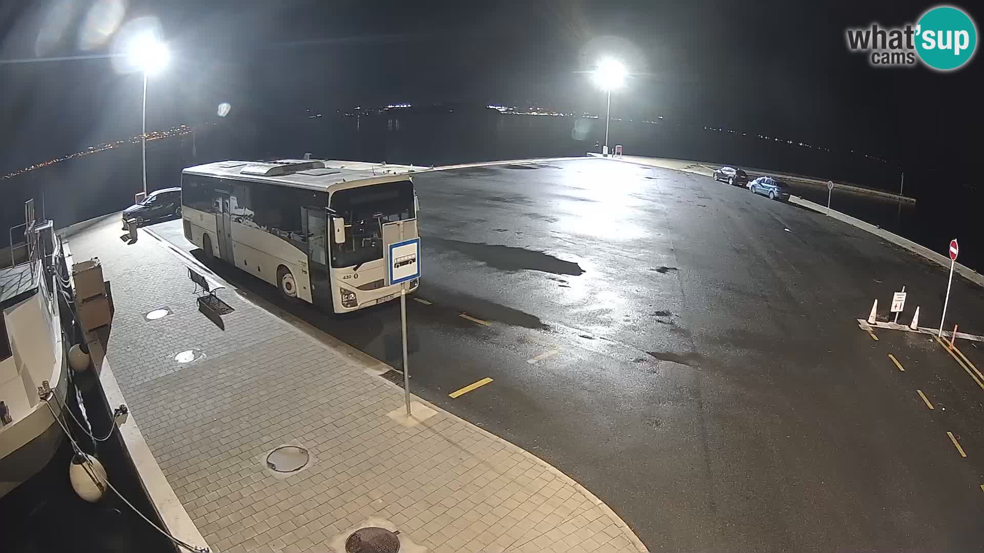 Tkon v živo – trajekt – Dalmacija – Hrvaška