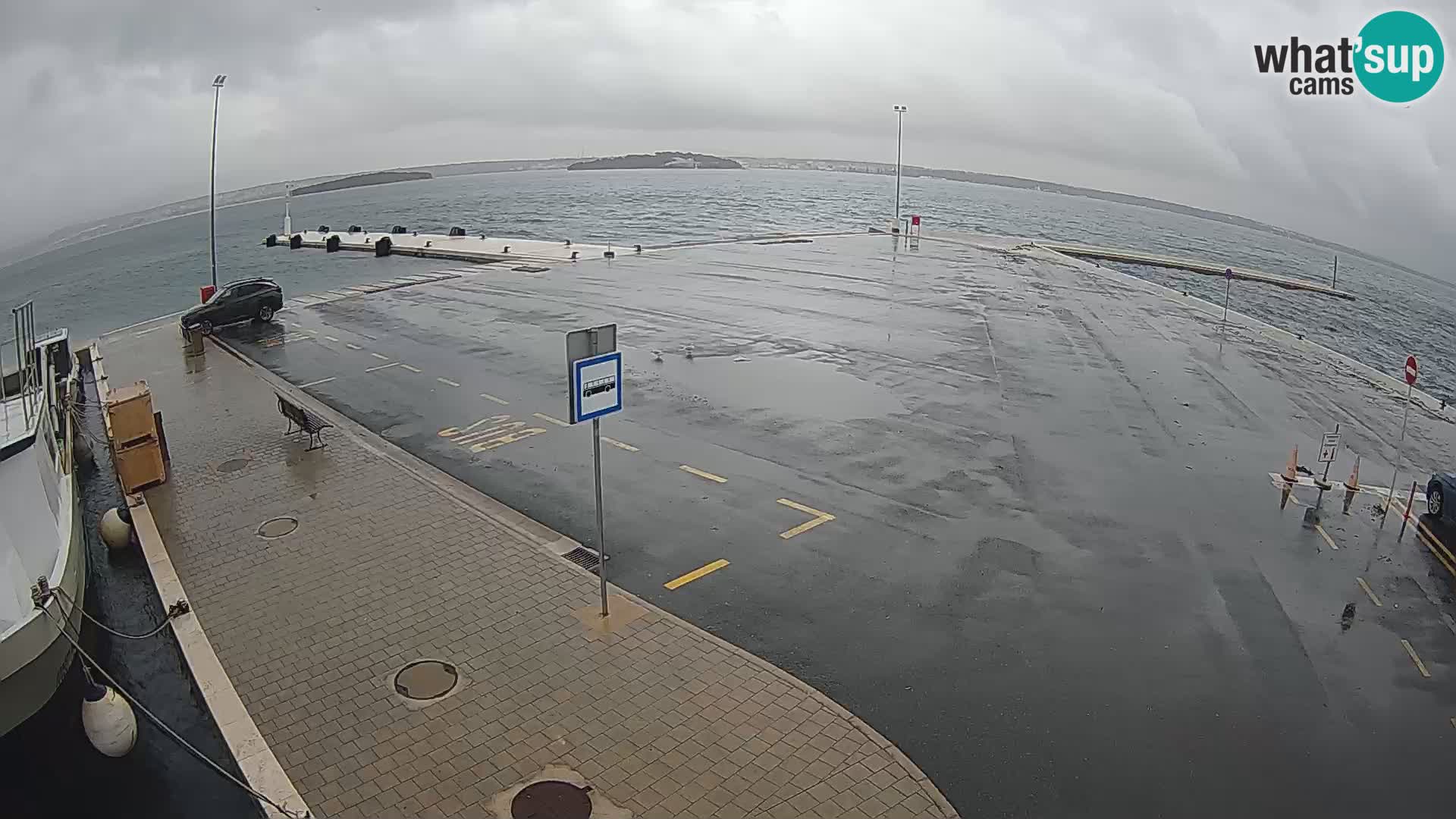 Tkon v živo – trajekt – Dalmacija – Hrvaška