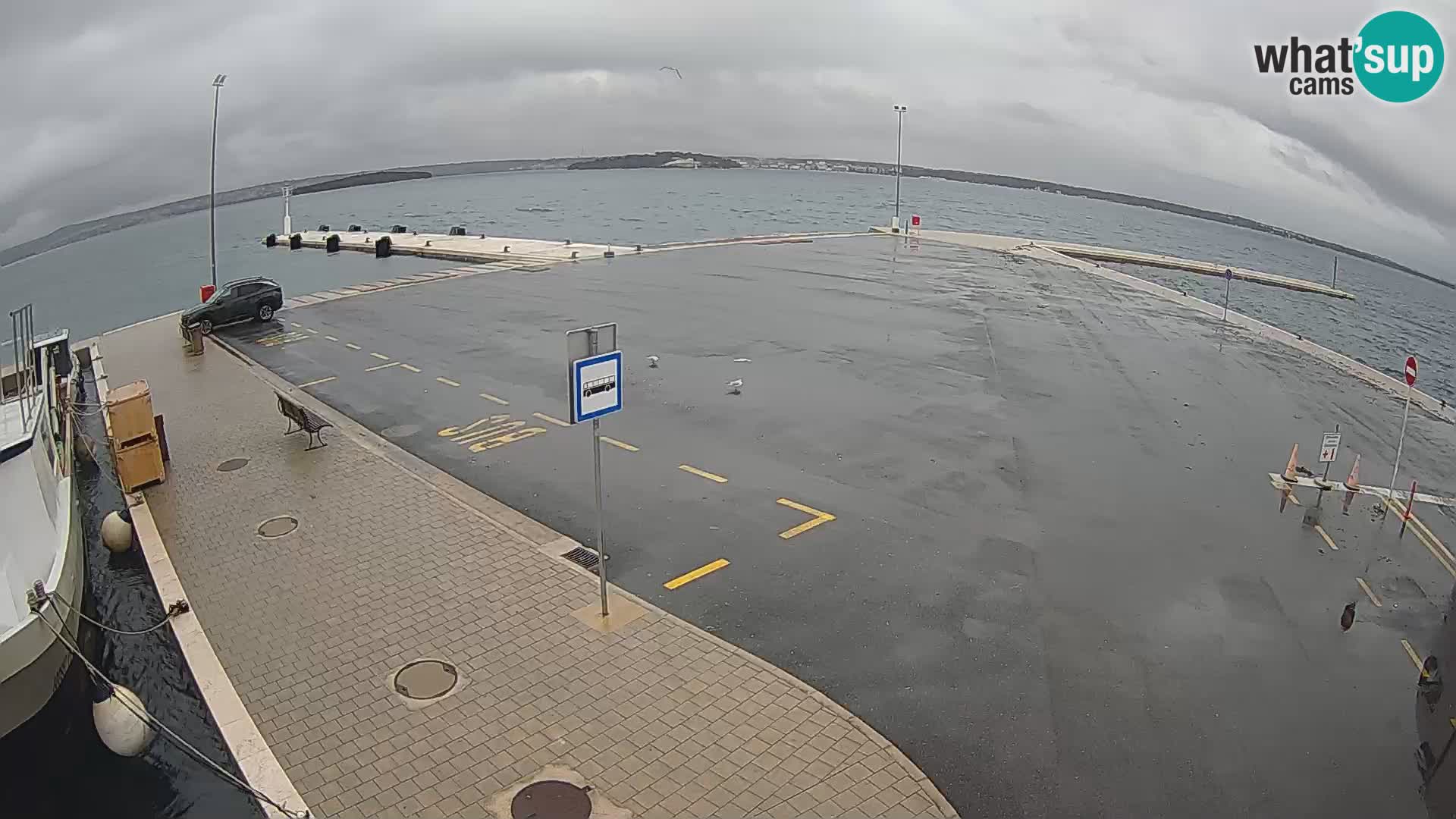 Tkon u živo – trajekt – Dalmacija