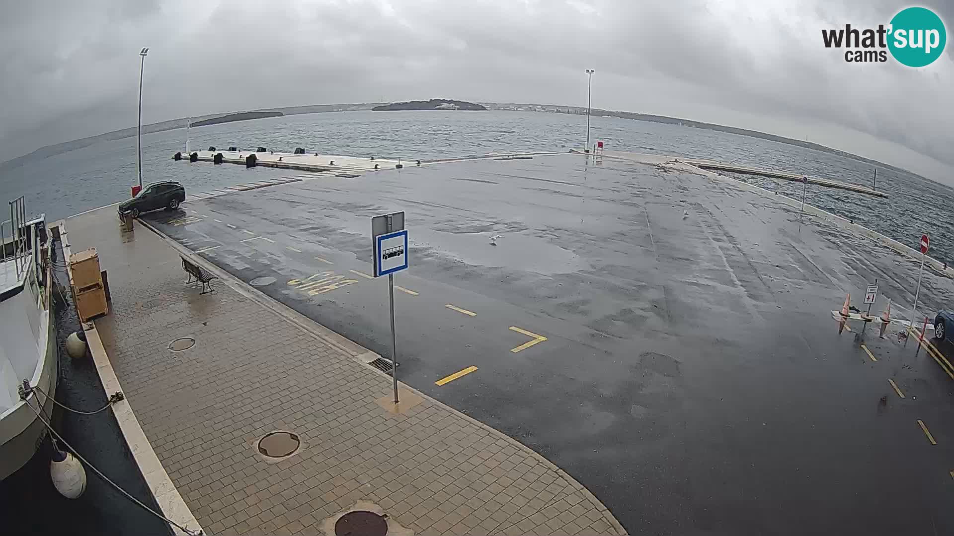 Tkon u živo – trajekt – Dalmacija