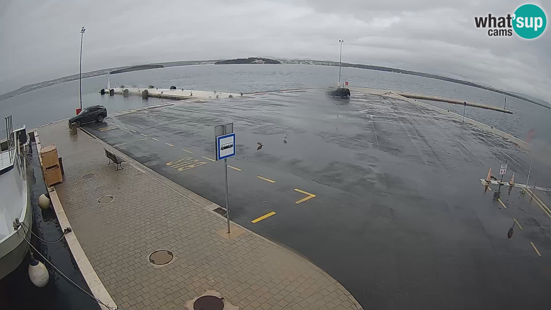 Tkon u živo – trajekt – Dalmacija