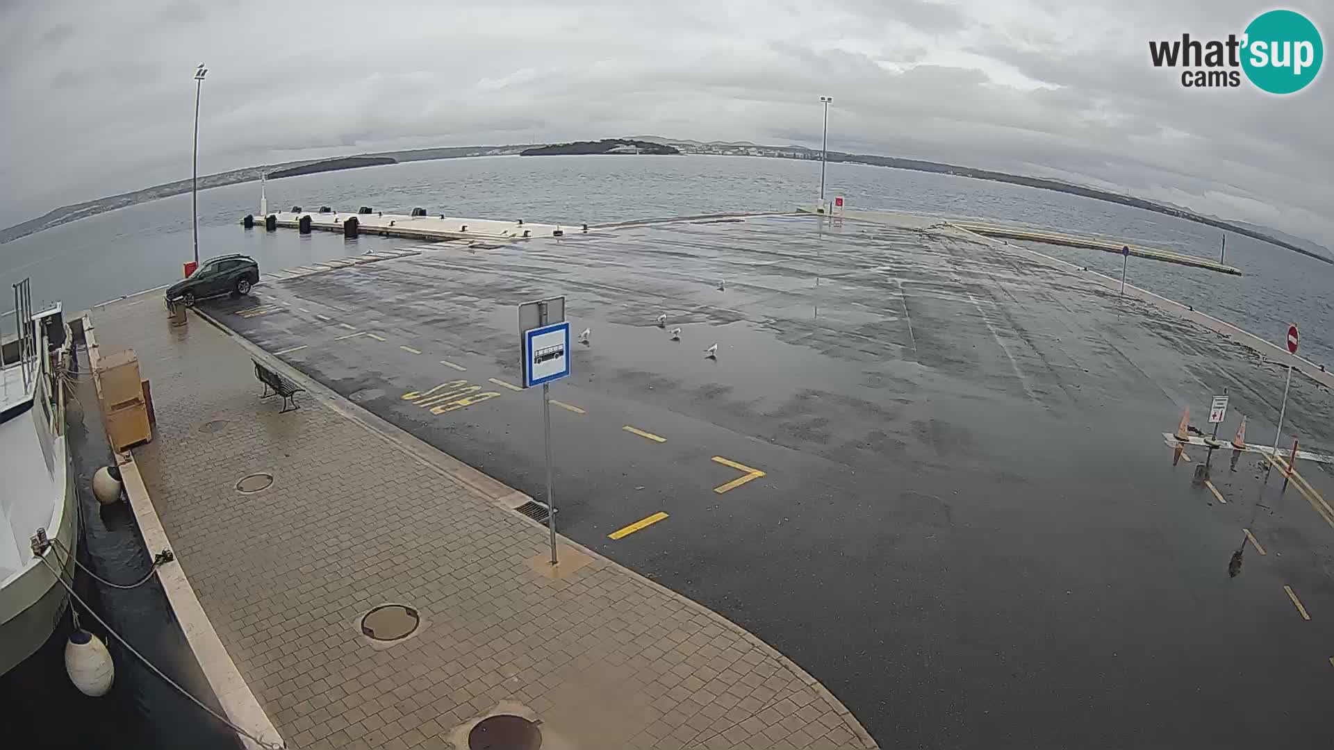 Tkon Live cam – ferry – Dalmatia – Croatia