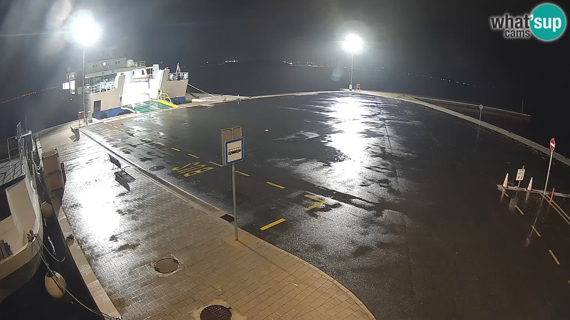 Tkon v živo – trajekt – Dalmacija – Hrvaška