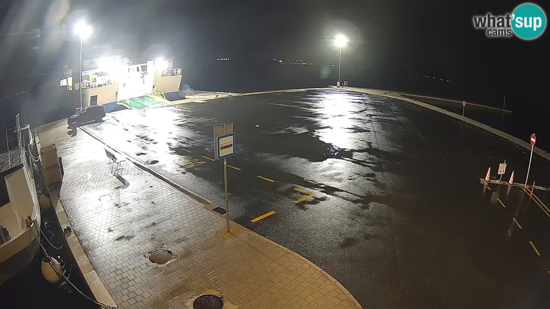 Tkon v živo – trajekt – Dalmacija – Hrvaška