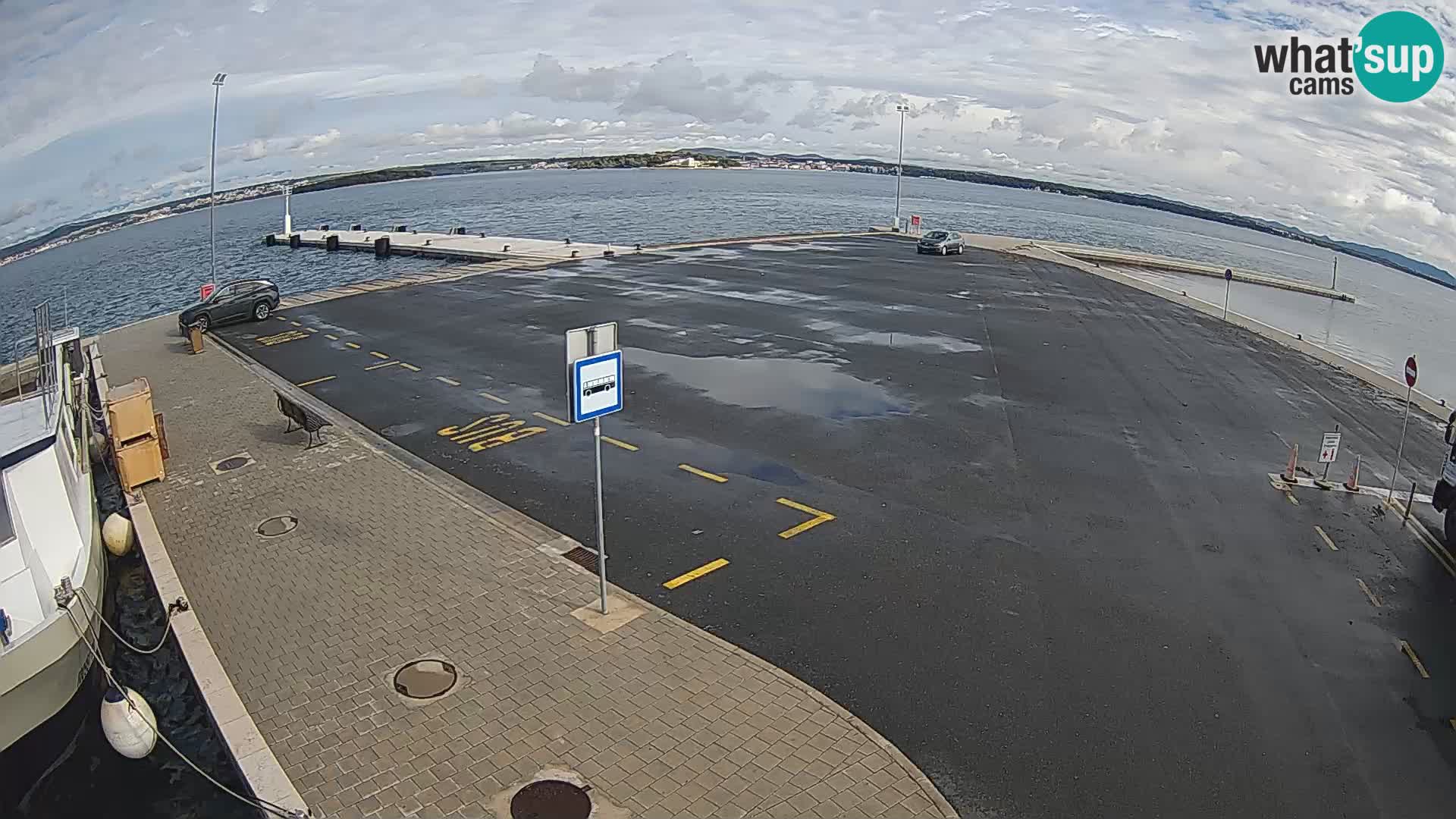 Tkon u živo – trajekt – Dalmacija