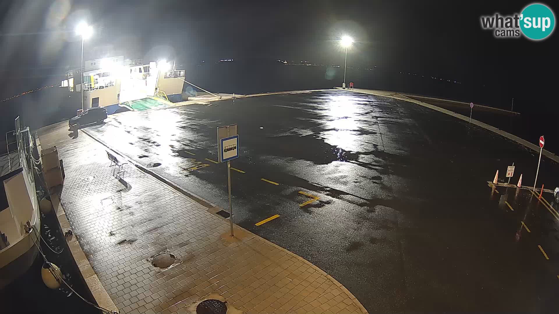 Tkon v živo – trajekt – Dalmacija – Hrvaška