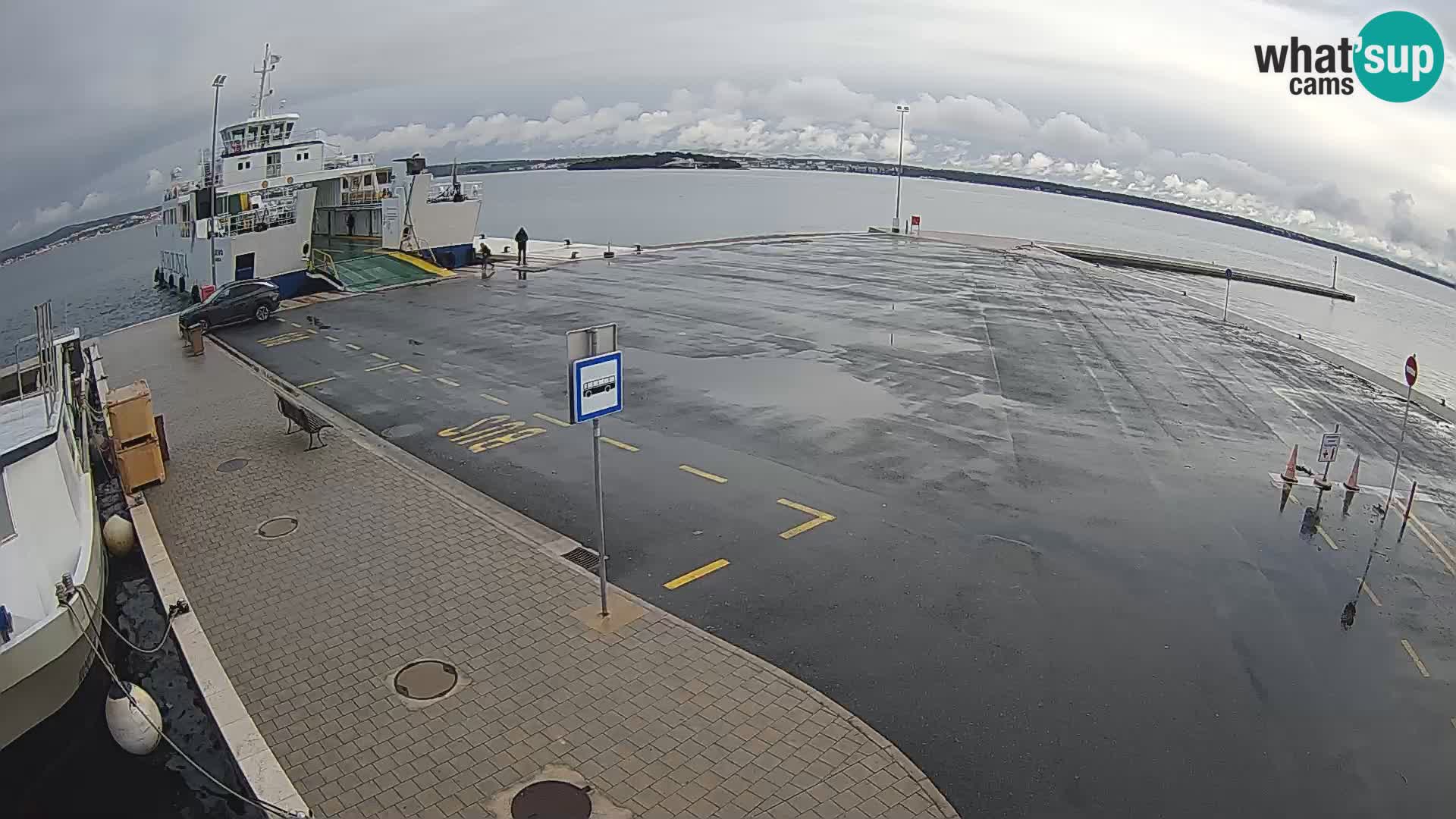 Tkon v živo – trajekt – Dalmacija – Hrvaška