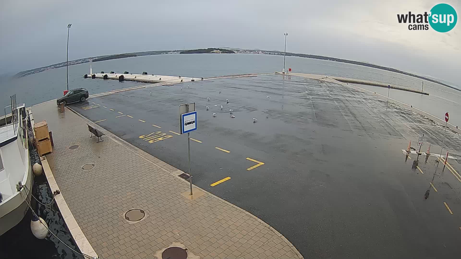 Tkon Live cam – ferry – Dalmatia – Croatia