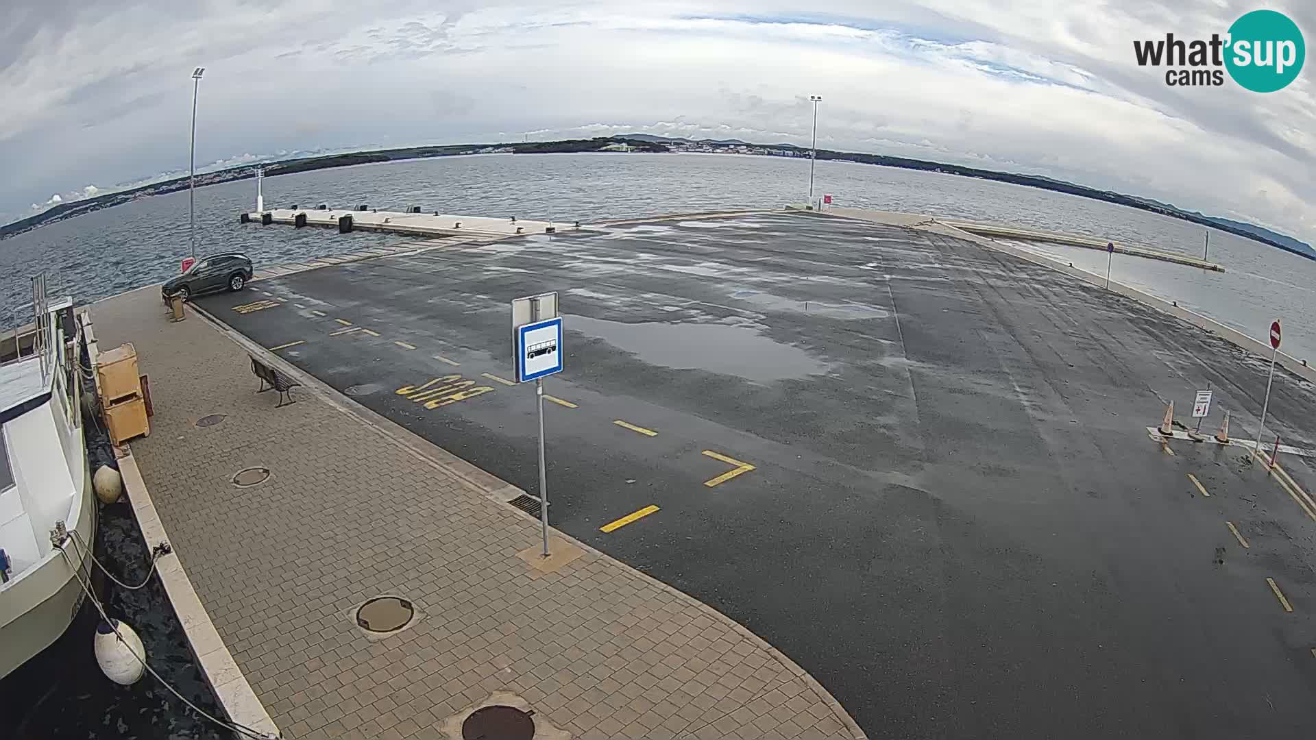 Tkon v živo – trajekt – Dalmacija – Hrvaška