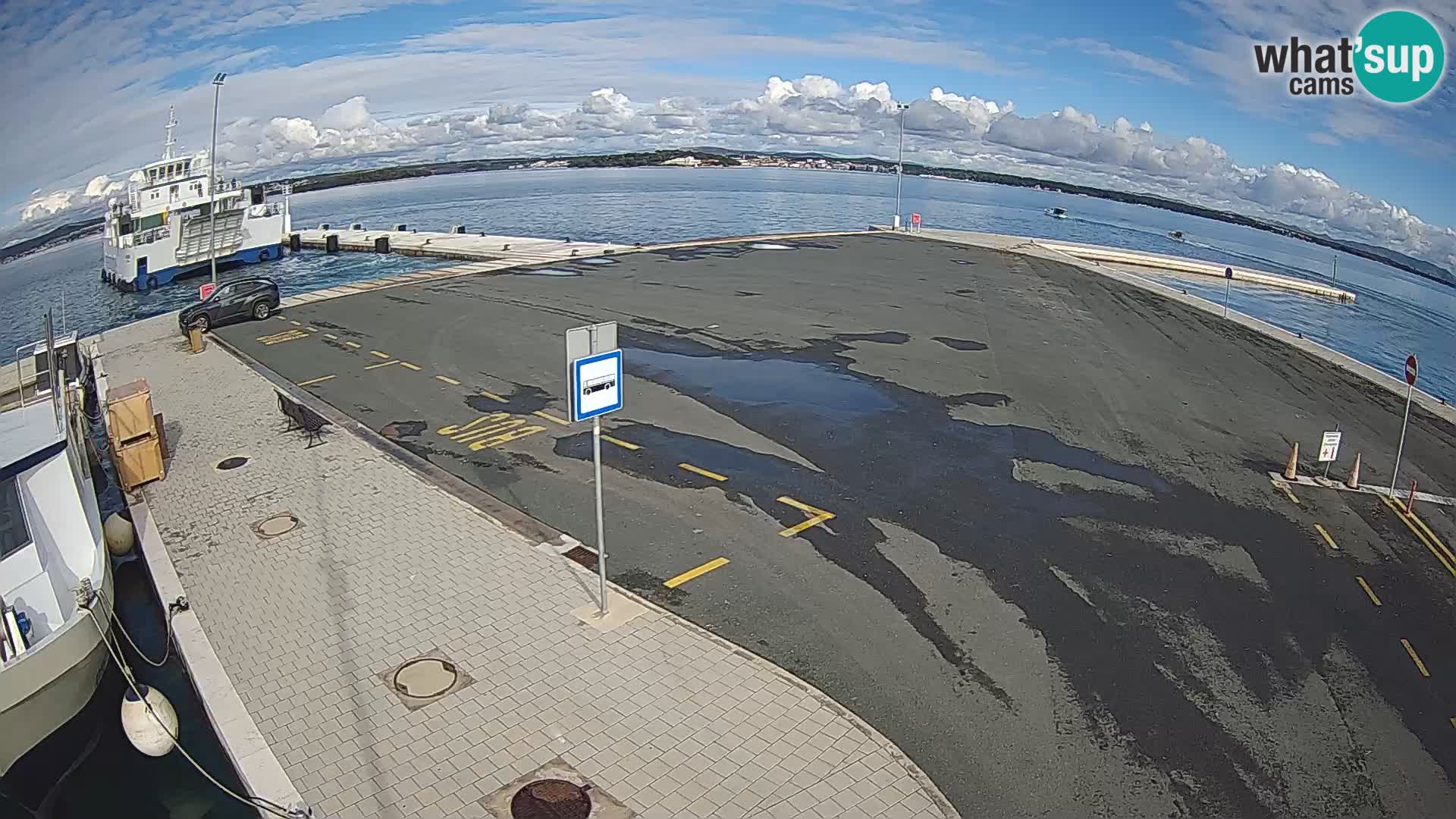 Tkon u živo – trajekt – Dalmacija