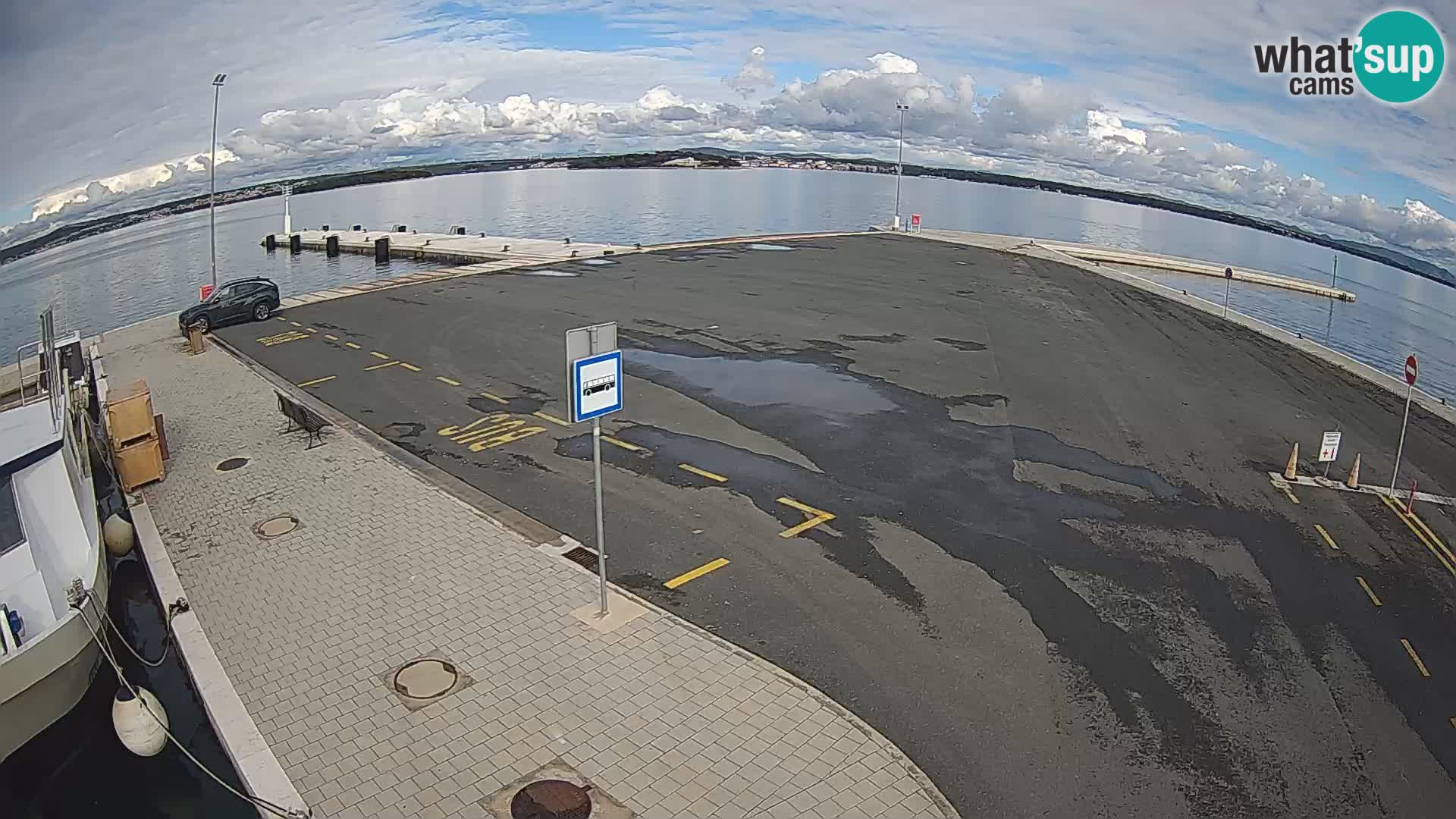 Tkon u živo – trajekt – Dalmacija