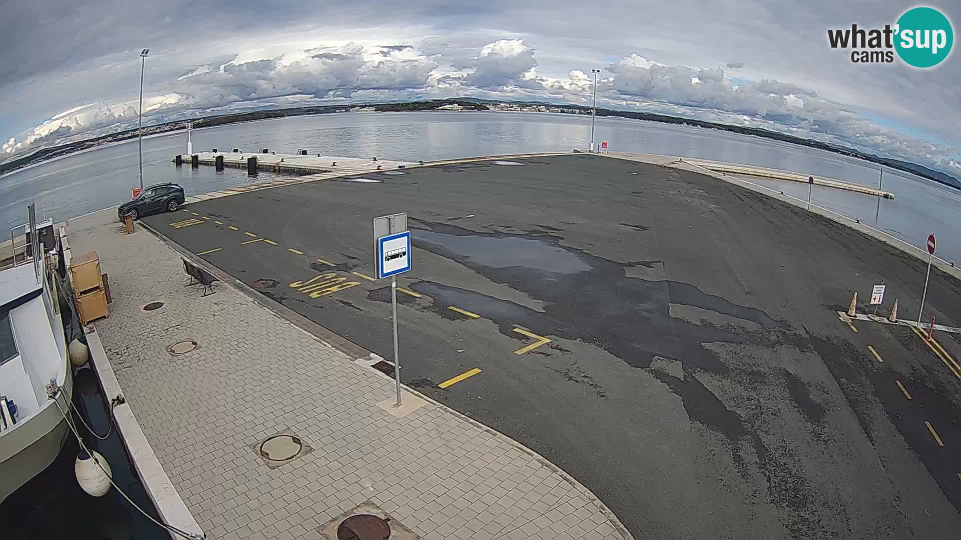 Tkon camera en vivo – Transportar – Dalmacia – Croacia