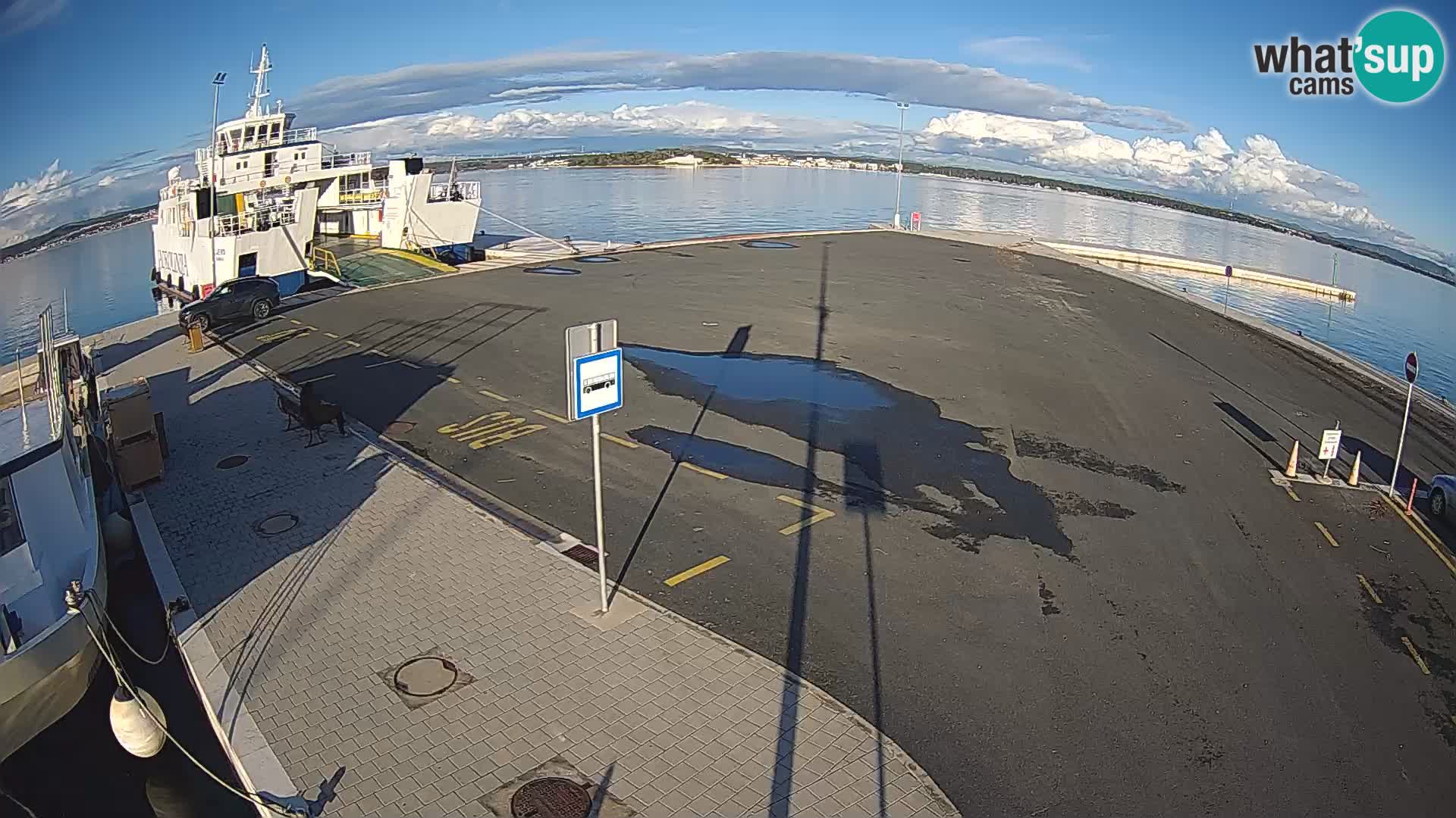 Tkon Live cam – ferry – Dalmatie – Croatie