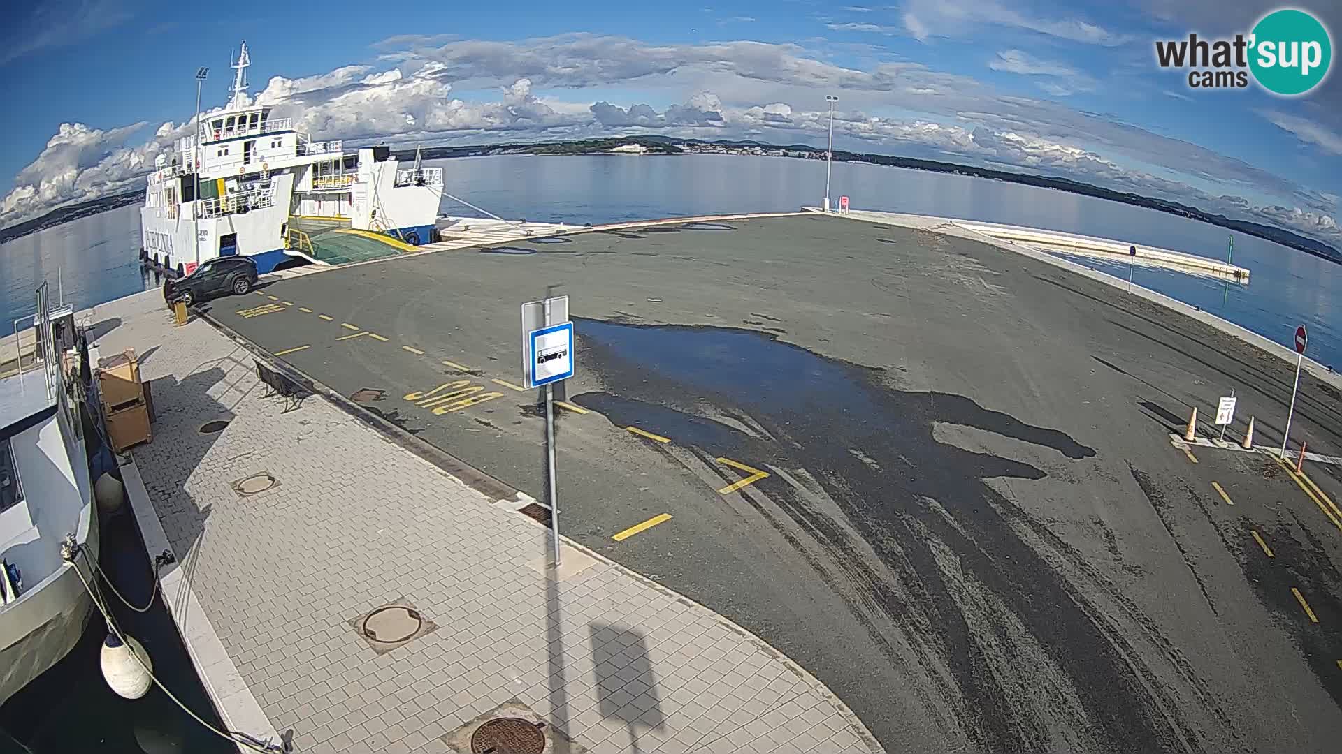 Tkon u živo – trajekt – Dalmacija