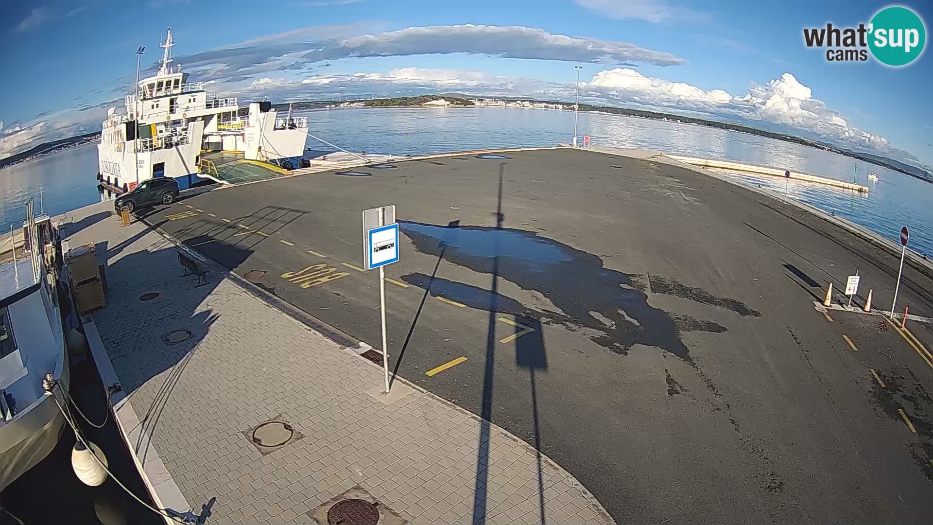 Tkon v živo – trajekt – Dalmacija – Hrvaška