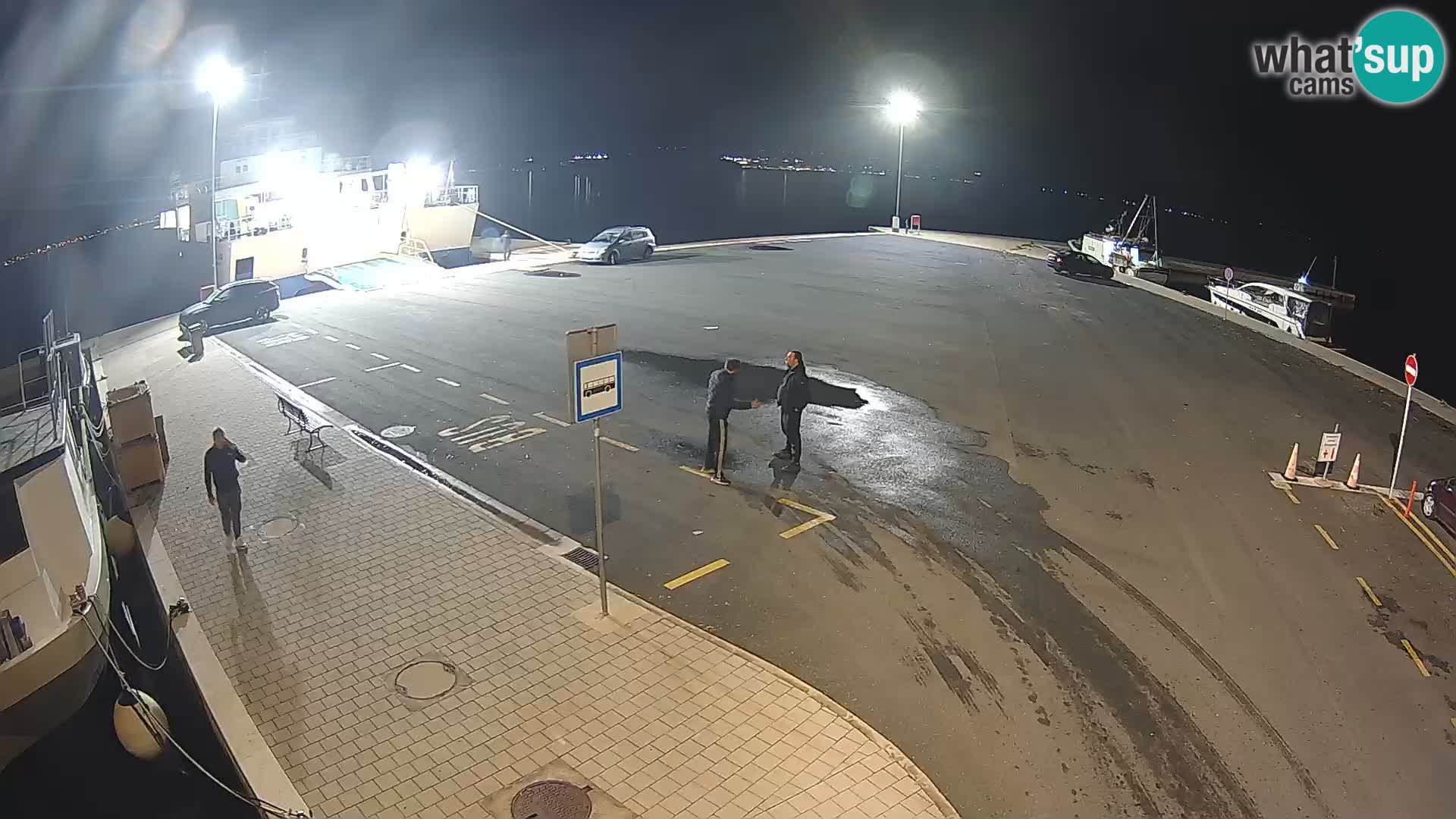 Tkon v živo – trajekt – Dalmacija – Hrvaška