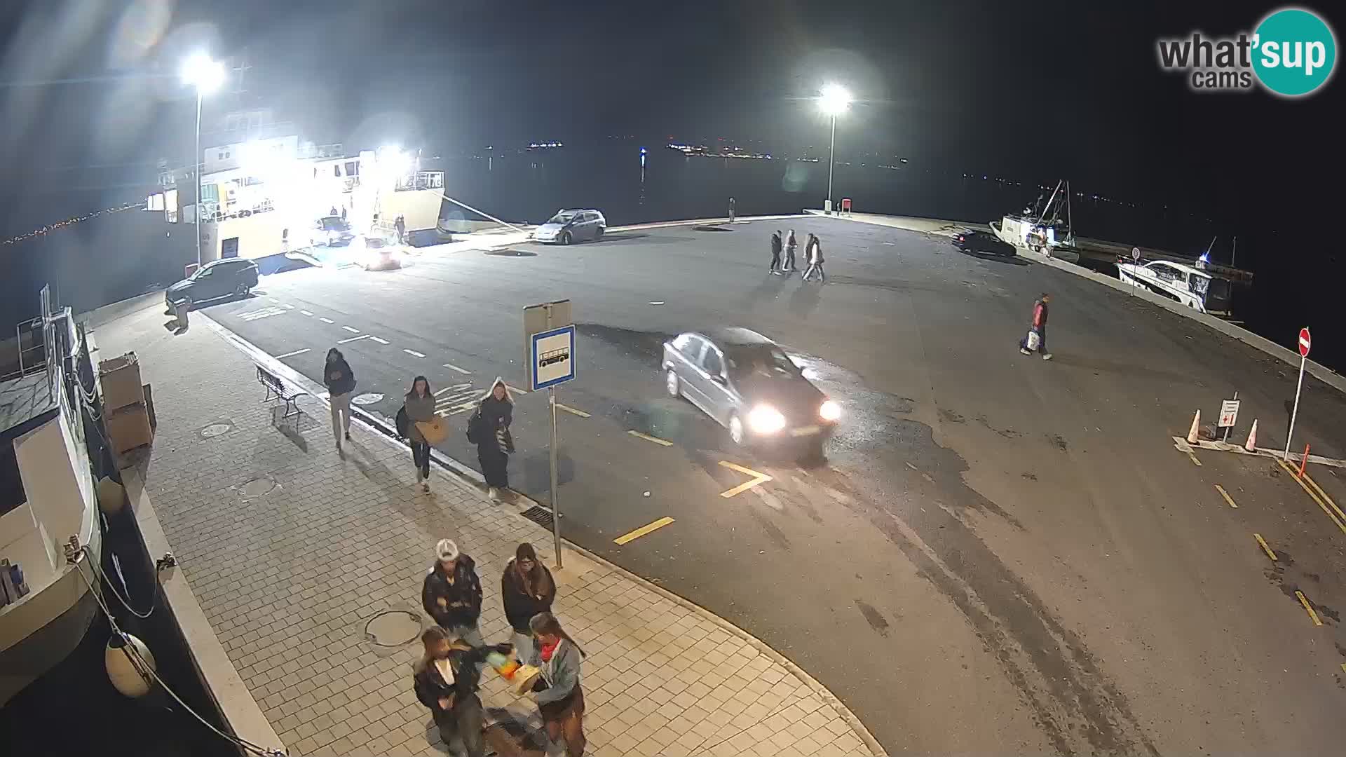 Tkon v živo – trajekt – Dalmacija – Hrvaška